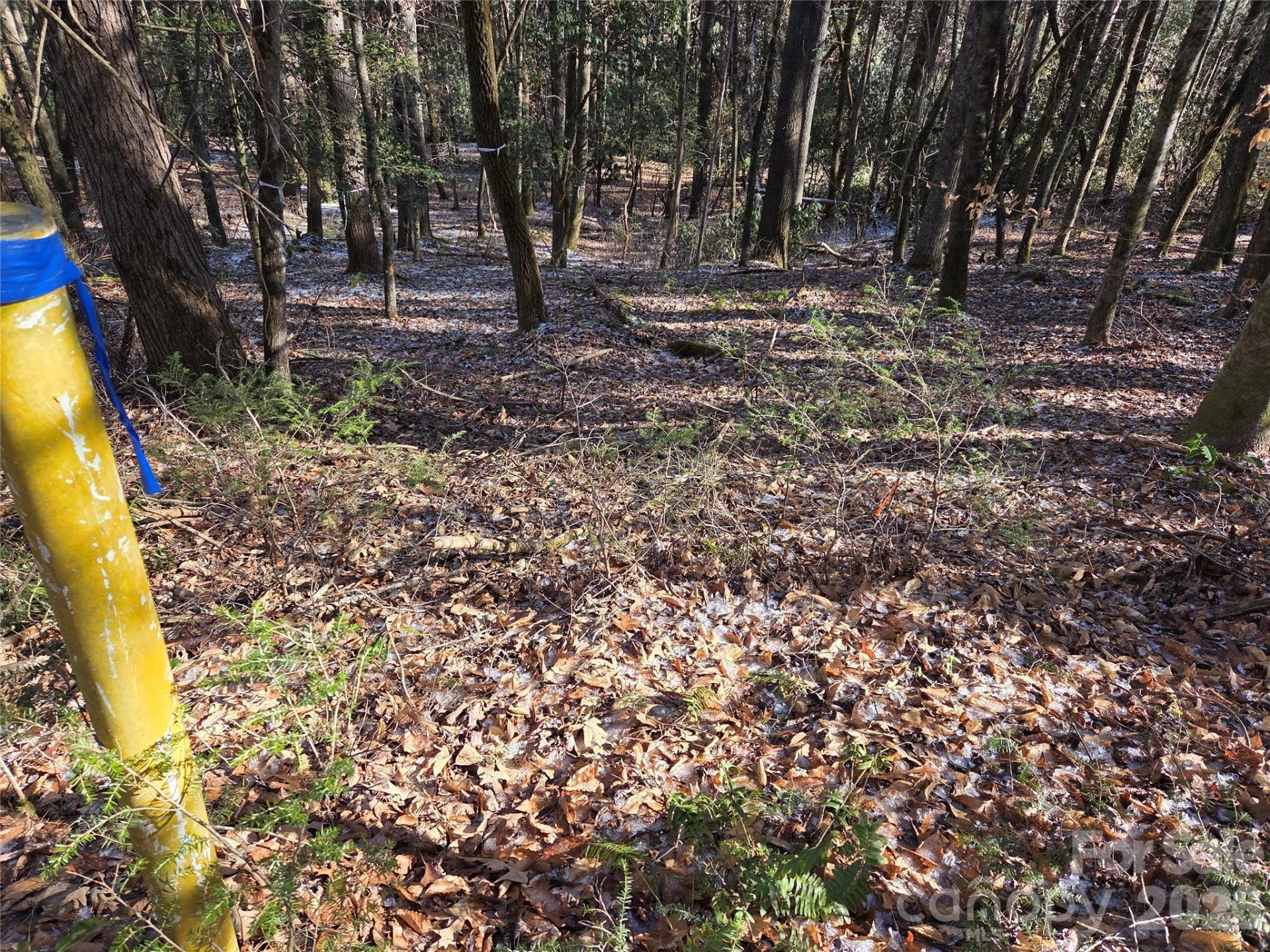 L11 Deerlake Road #11 - Photo 6