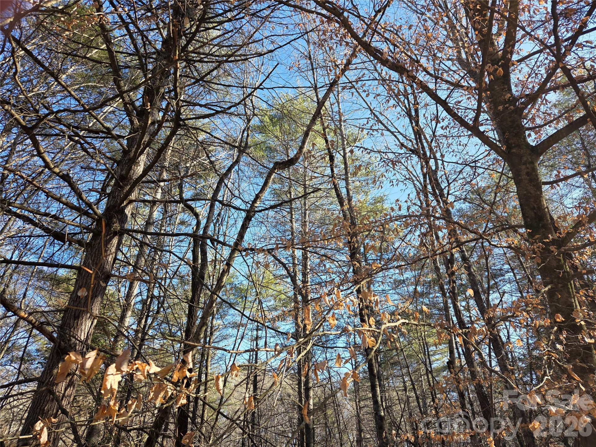 L11 Deerlake Road #11 - Photo 7