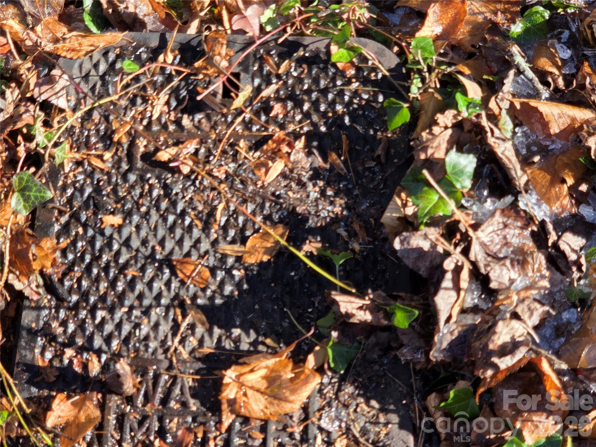 L11 Deerlake Road #11 - Photo 8