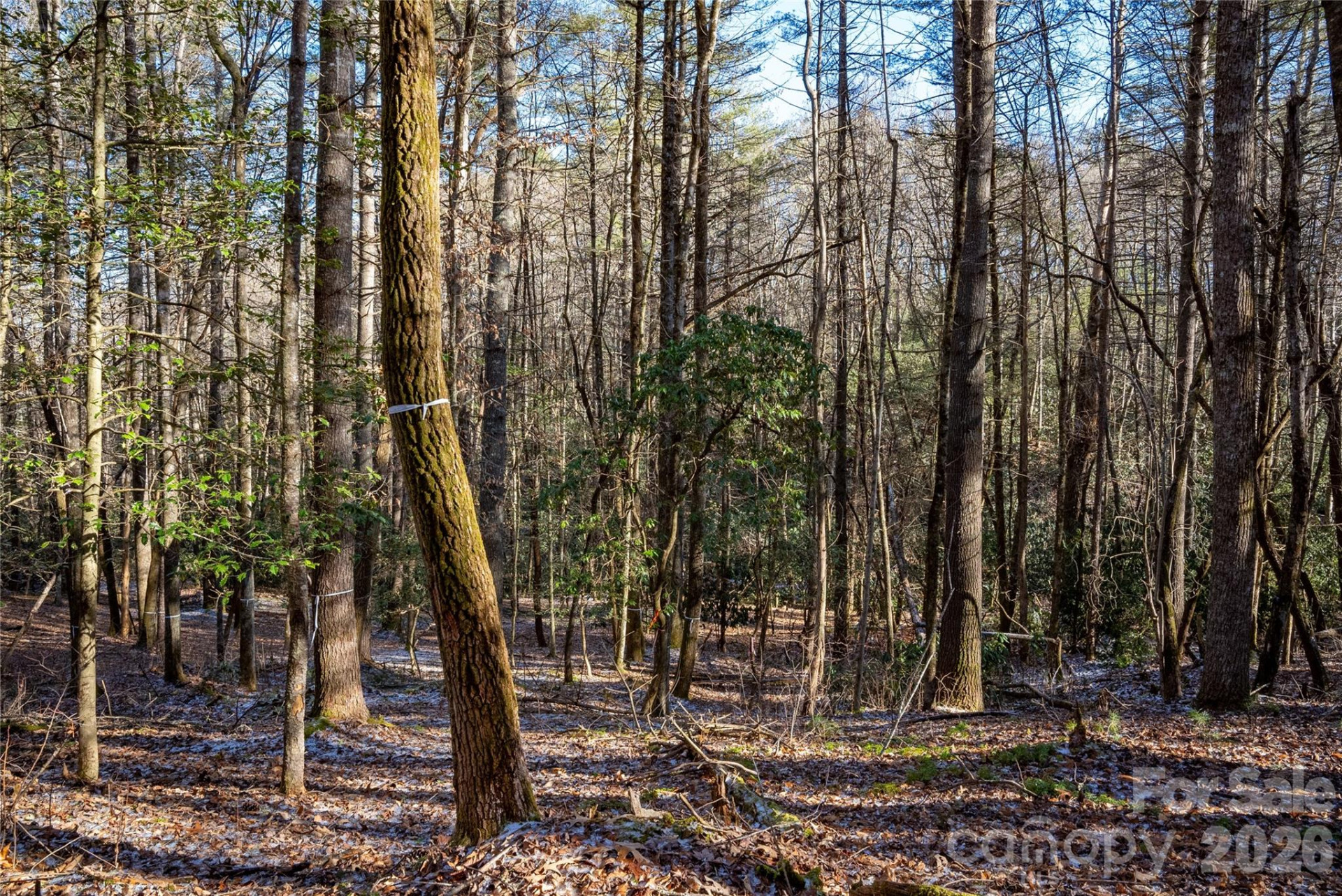 L11 Deerlake Road #11 - Photo 10