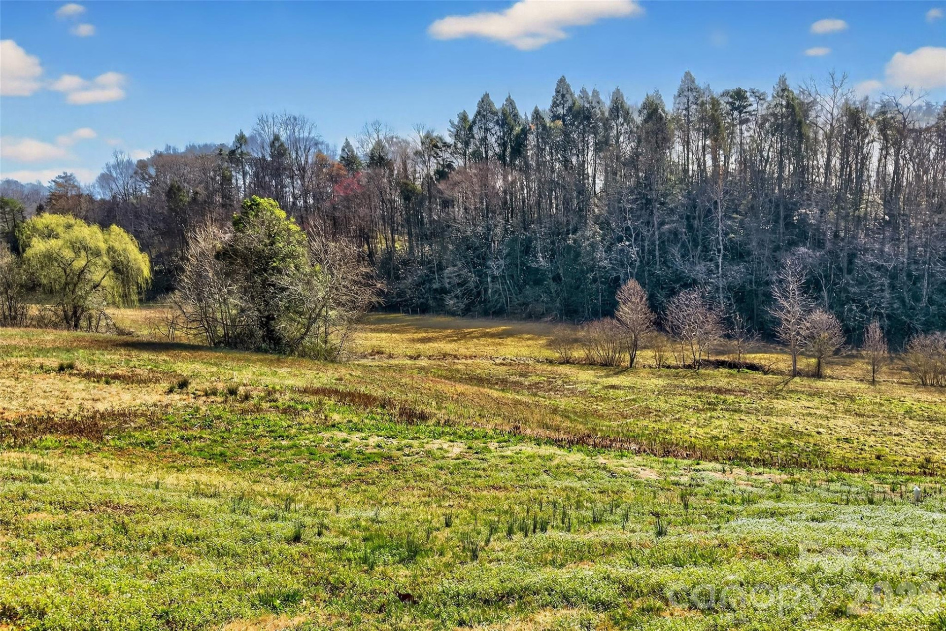 4259 US 70 Road - Photo 41