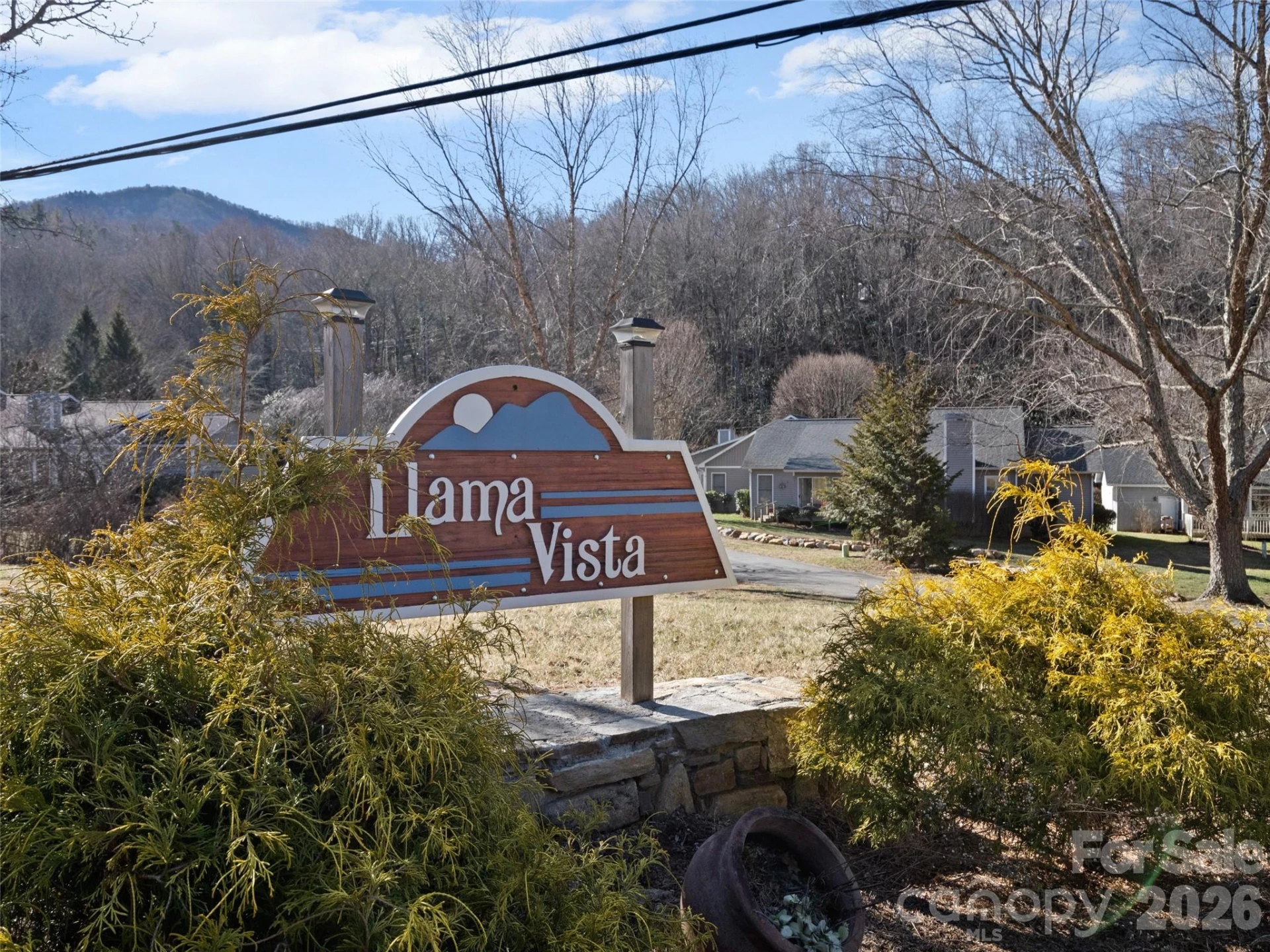 102 Llama Way - Photo 28