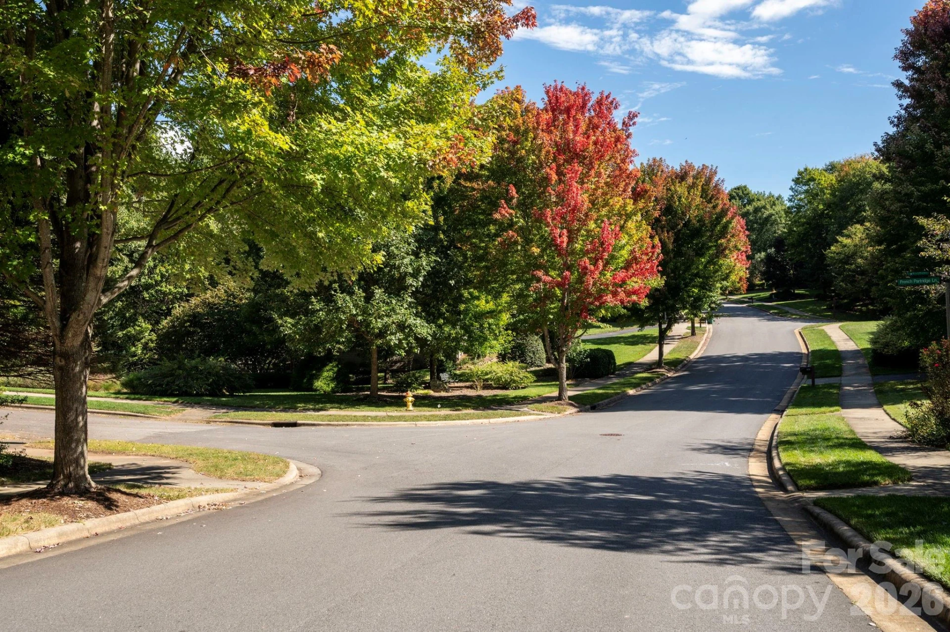 622 Welsh Partridge Circle - Photo 39
