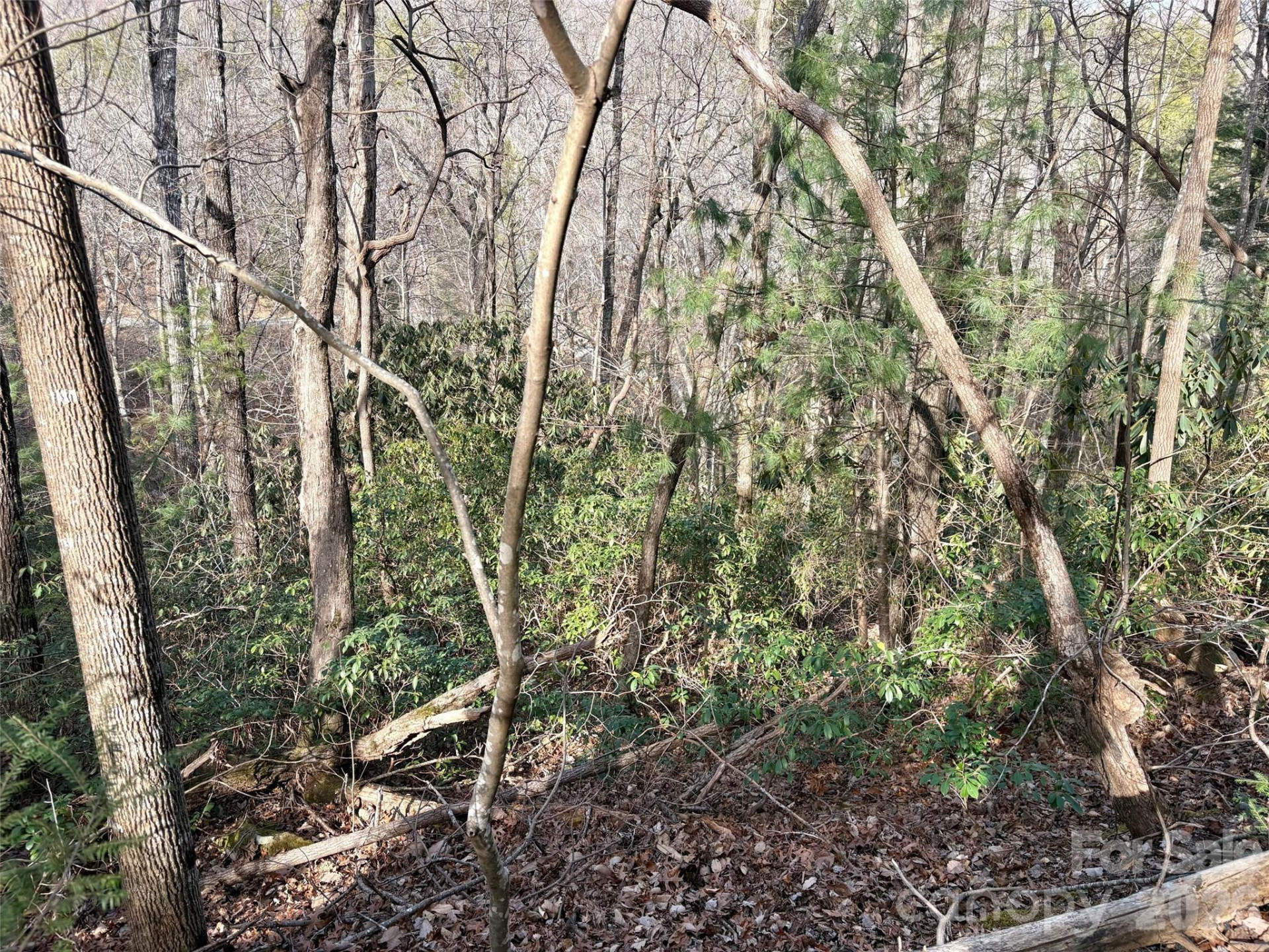 0 Falls View Trail #Lot 52 - Photo 3