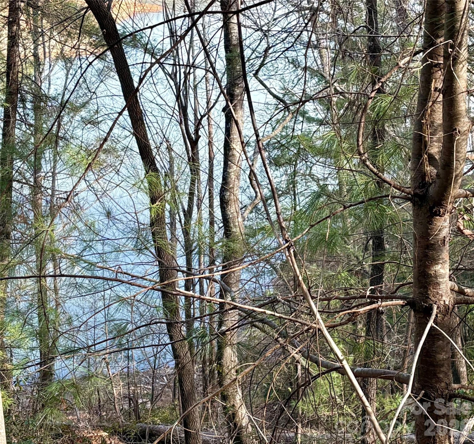 0 Falls View Trail #lot 23A - Photo 3