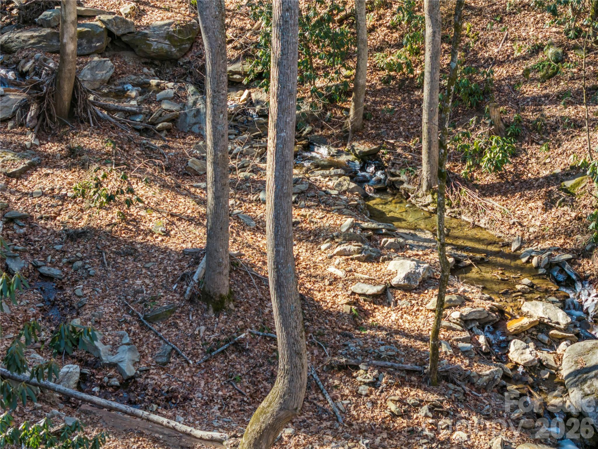 52 Treanors Place - Photo 30