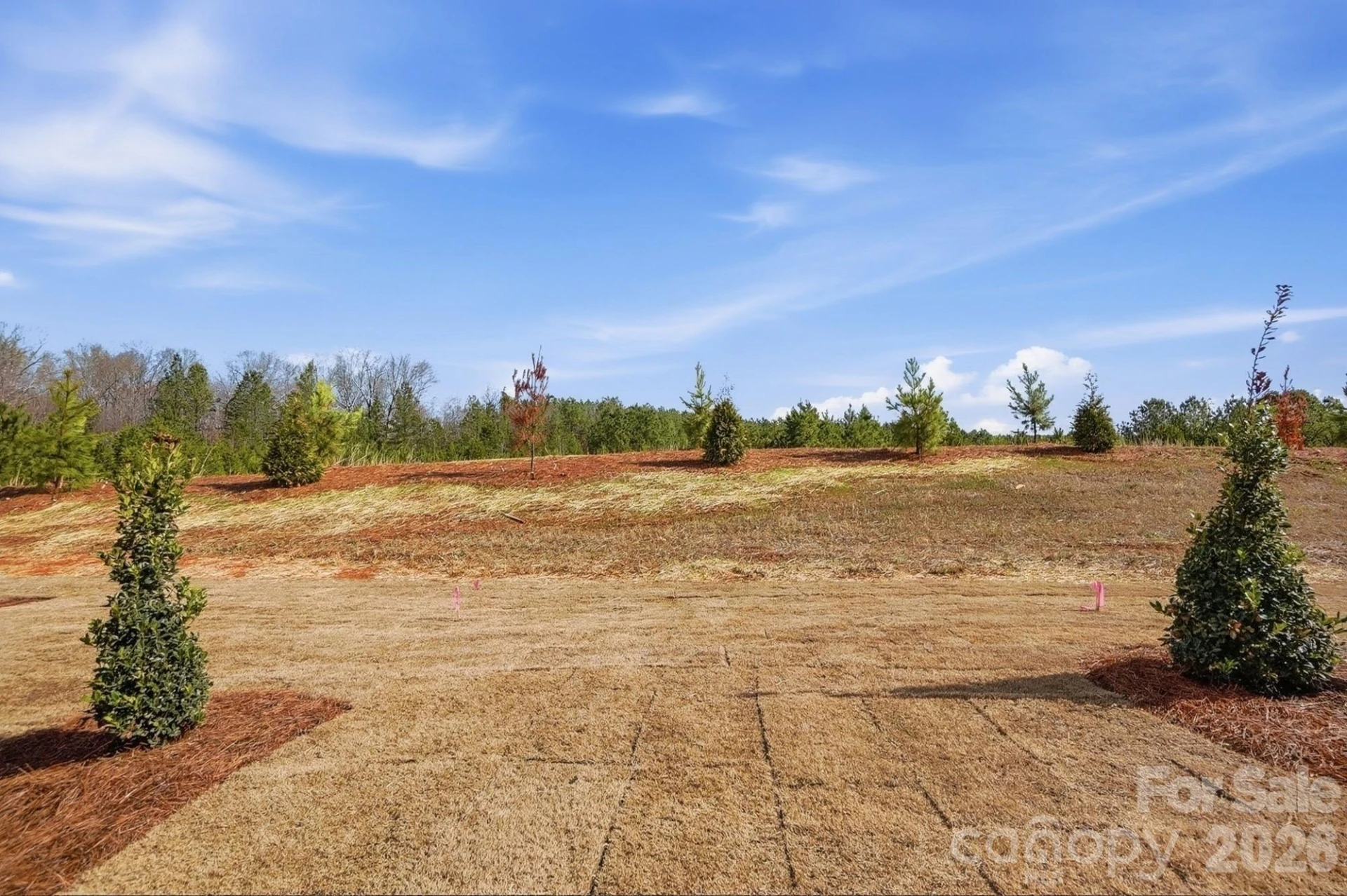 434 Blythe Townhome Lane - Photo 36