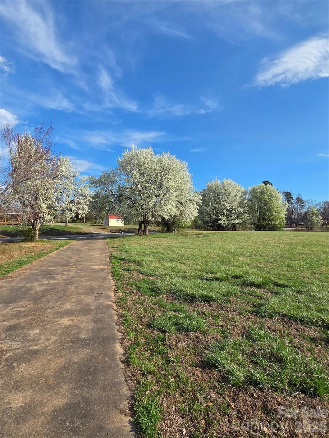 350 Morningstar Lake Road - Photo 4