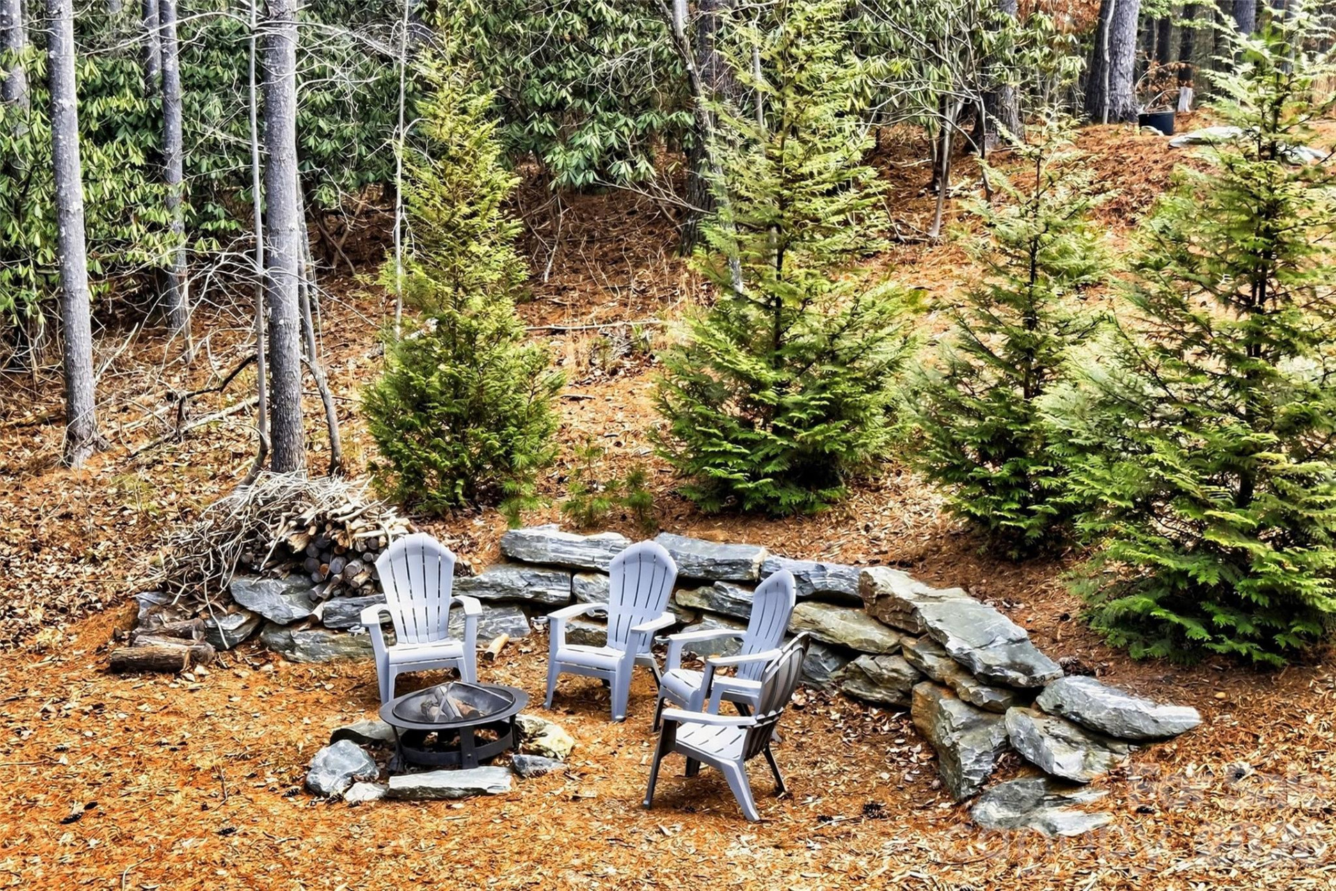 103 Big Game Drive #111 - Photo 41