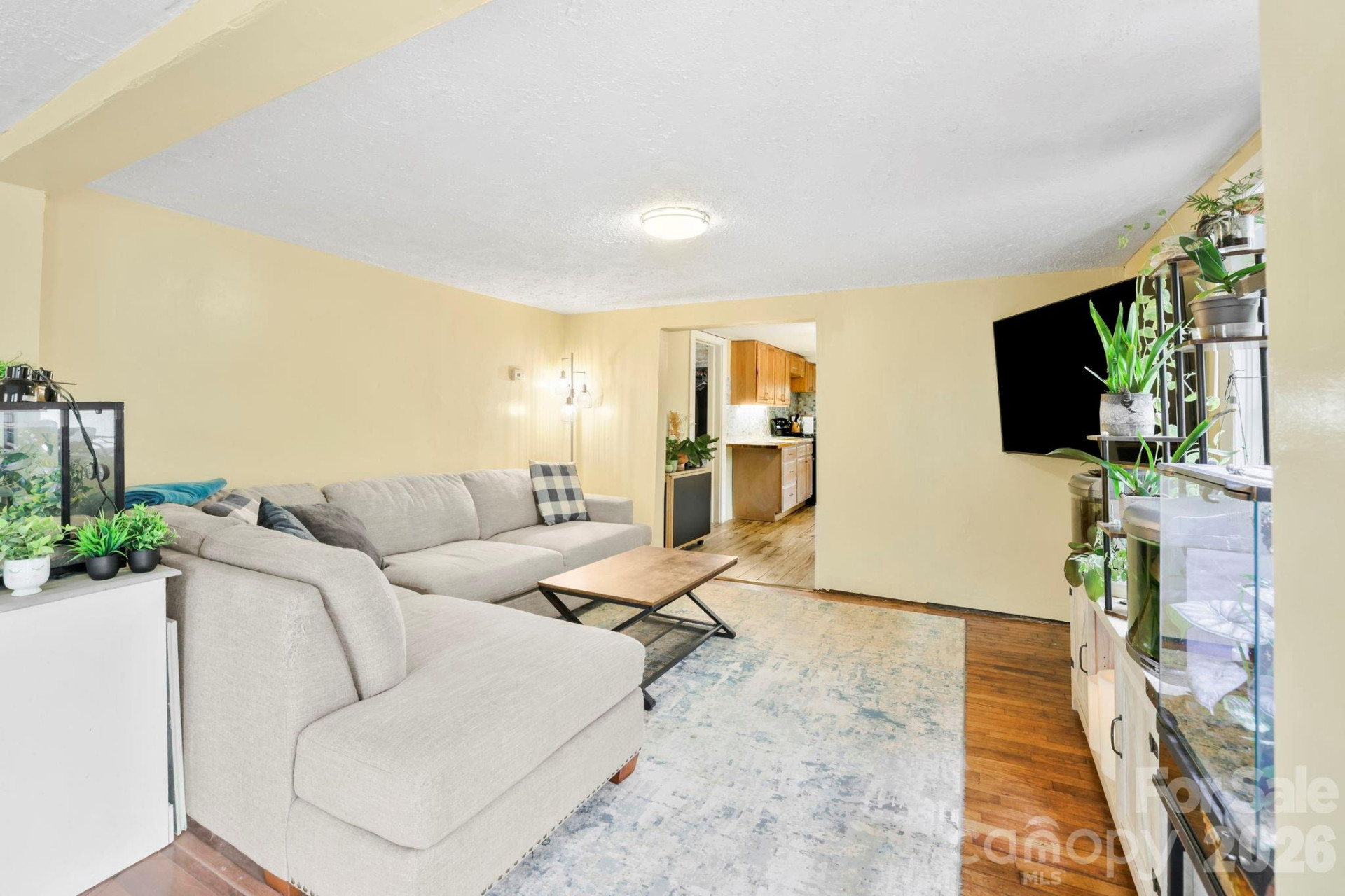 38 Pisgah View Road - Photo 3