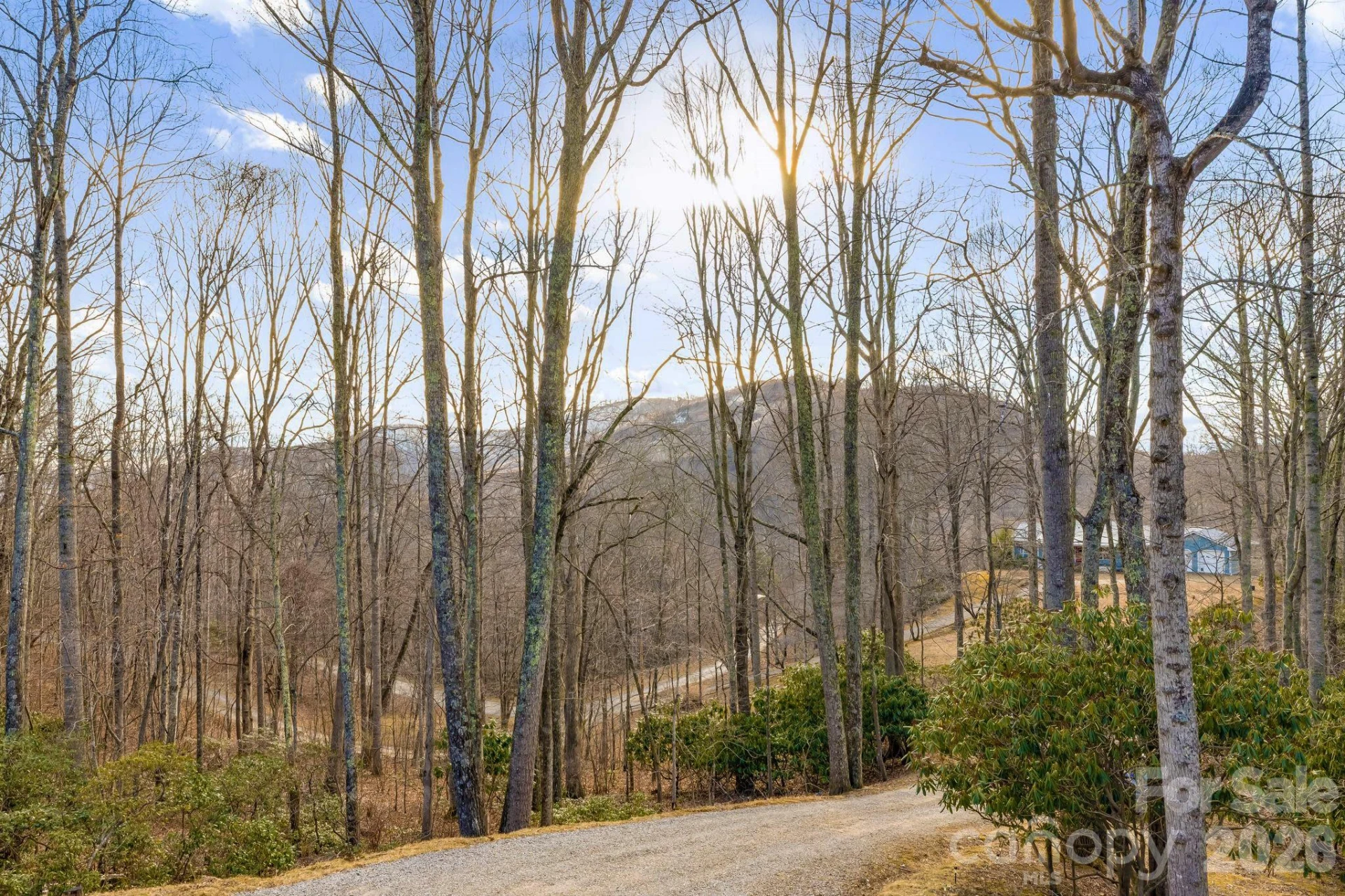 170 Wonderwood Lane - Photo 40