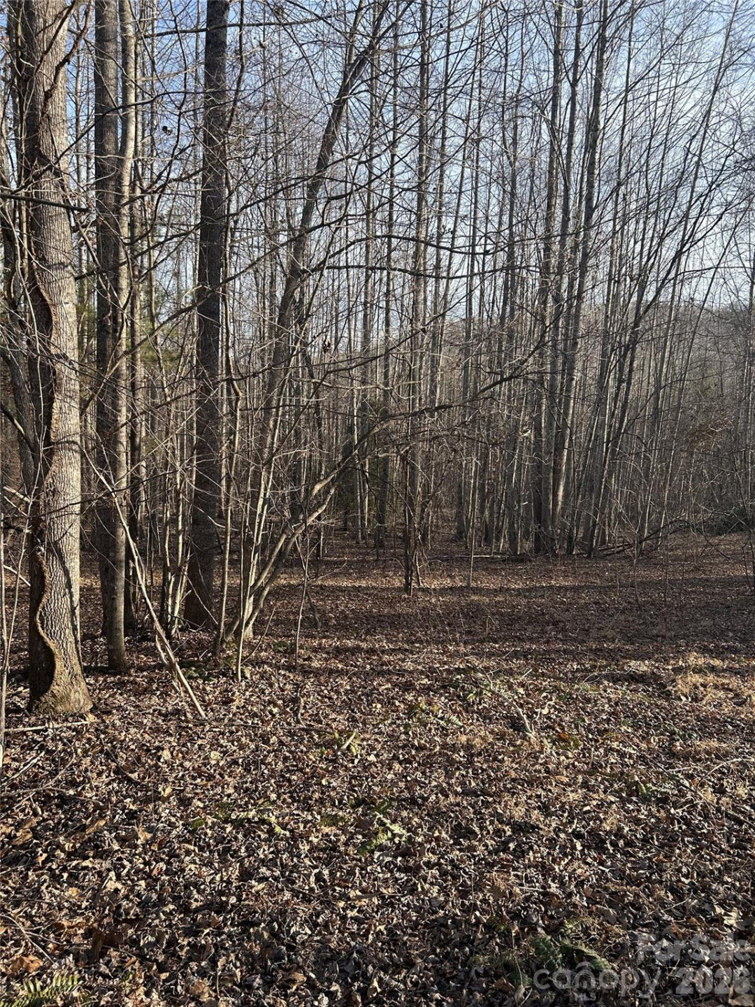 147 Double Eagle Drive #23 - Photo 22