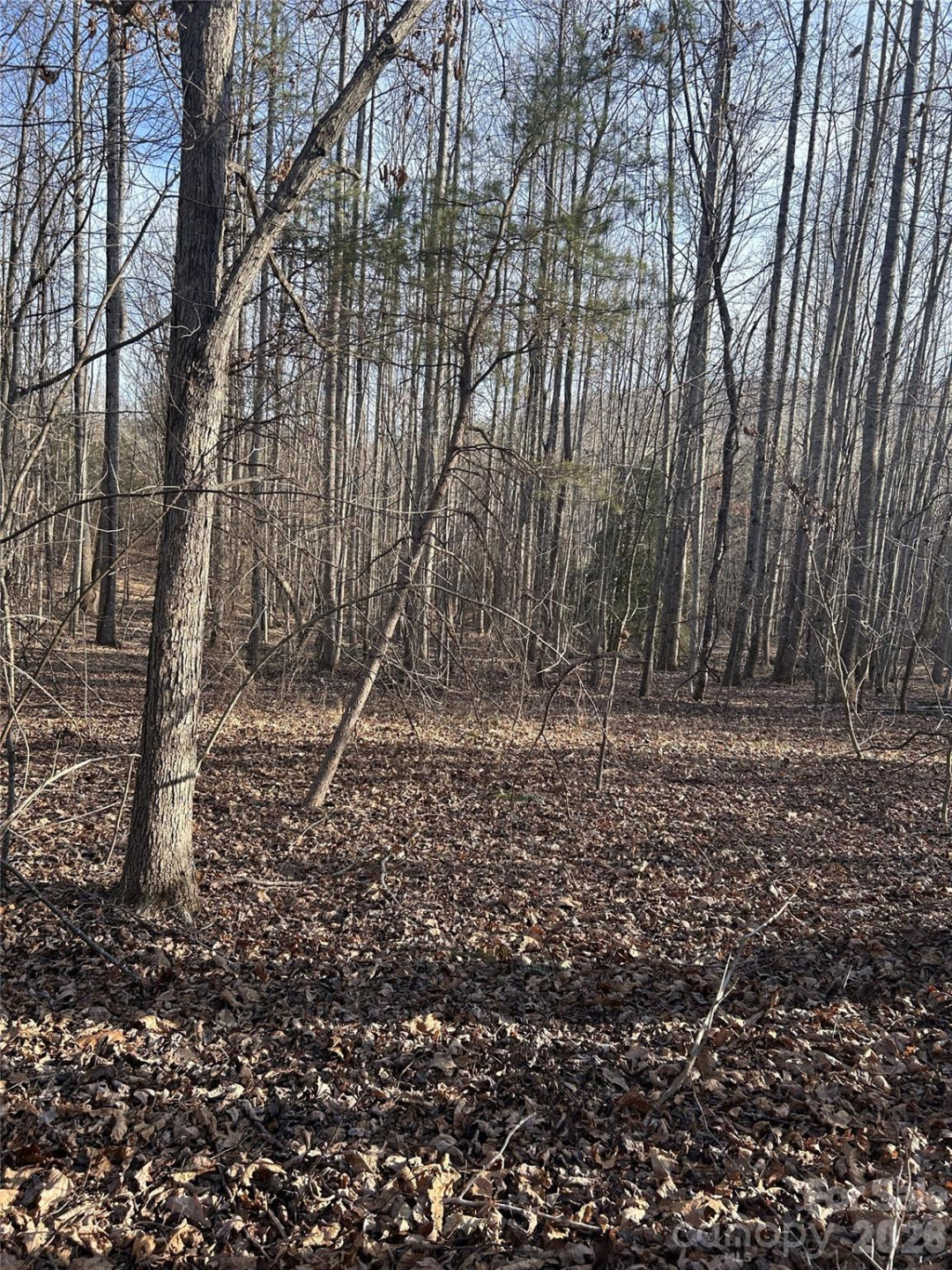 147 Double Eagle Drive #23 - Photo 23