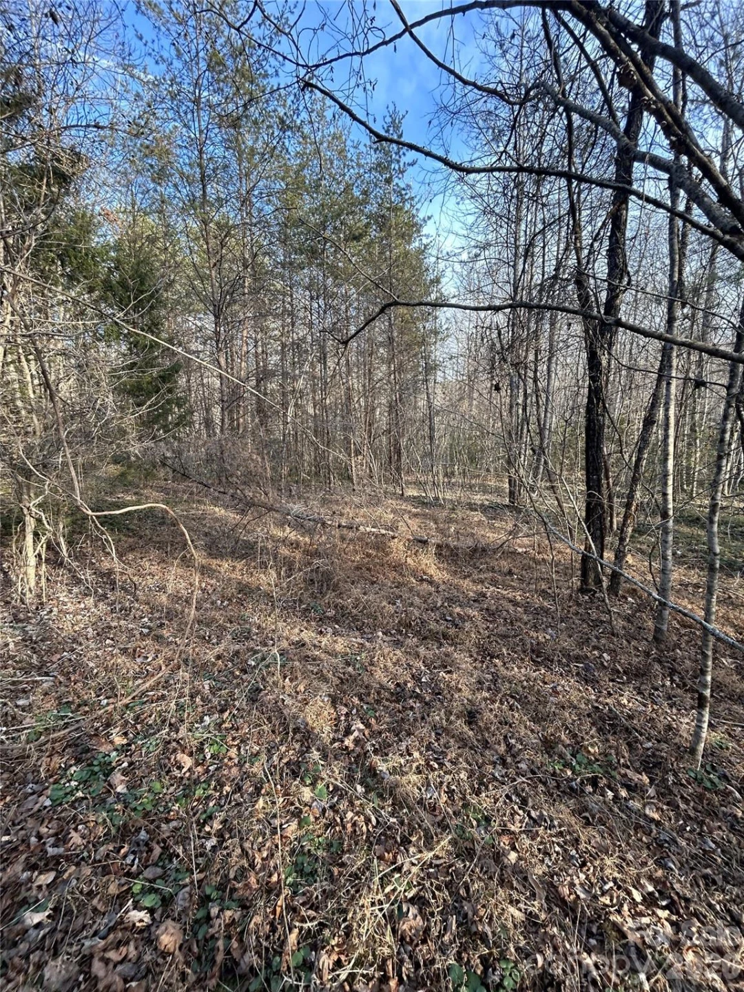 147 Double Eagle Drive #23 - Photo 36
