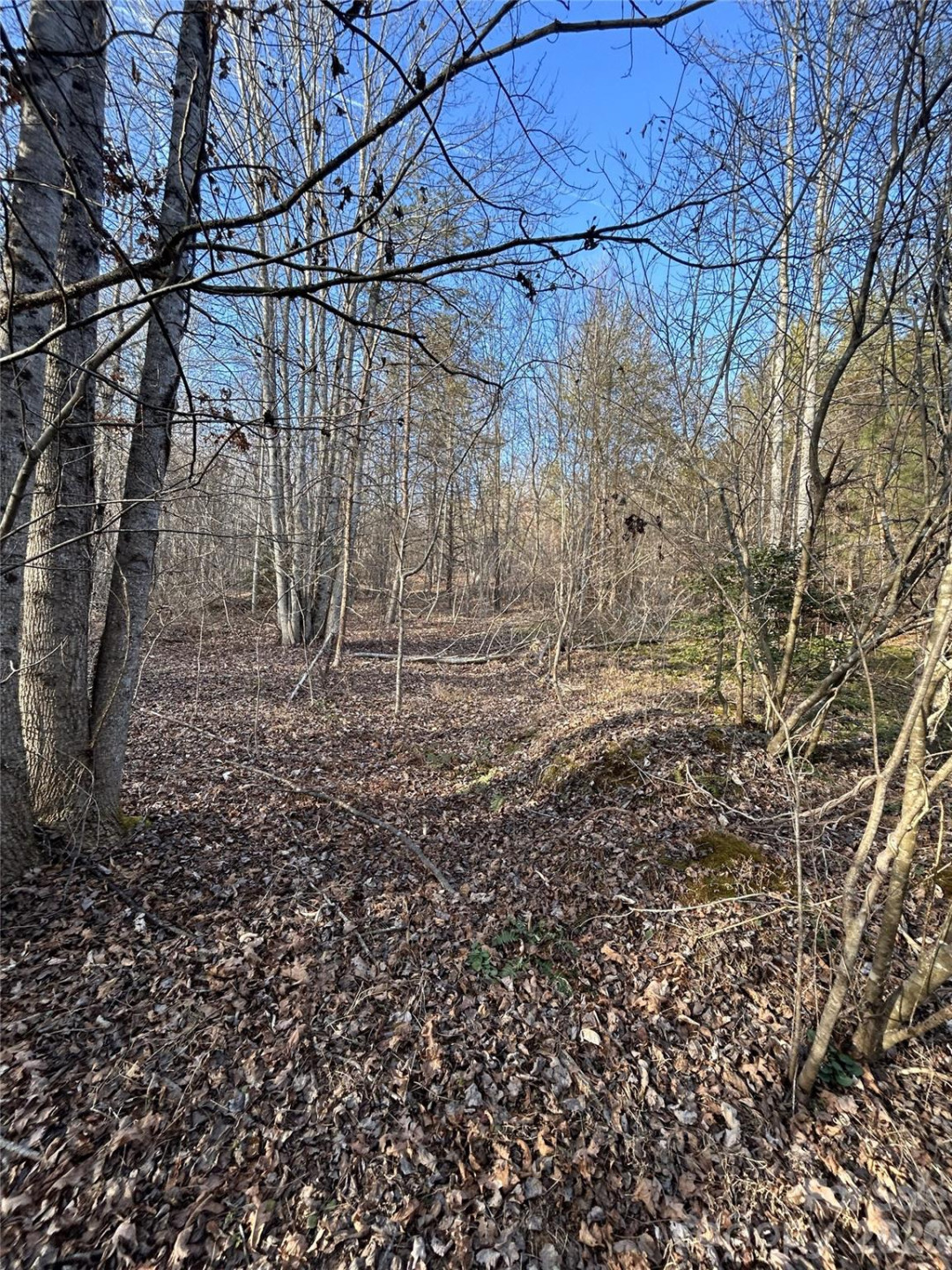 147 Double Eagle Drive #23 - Photo 37