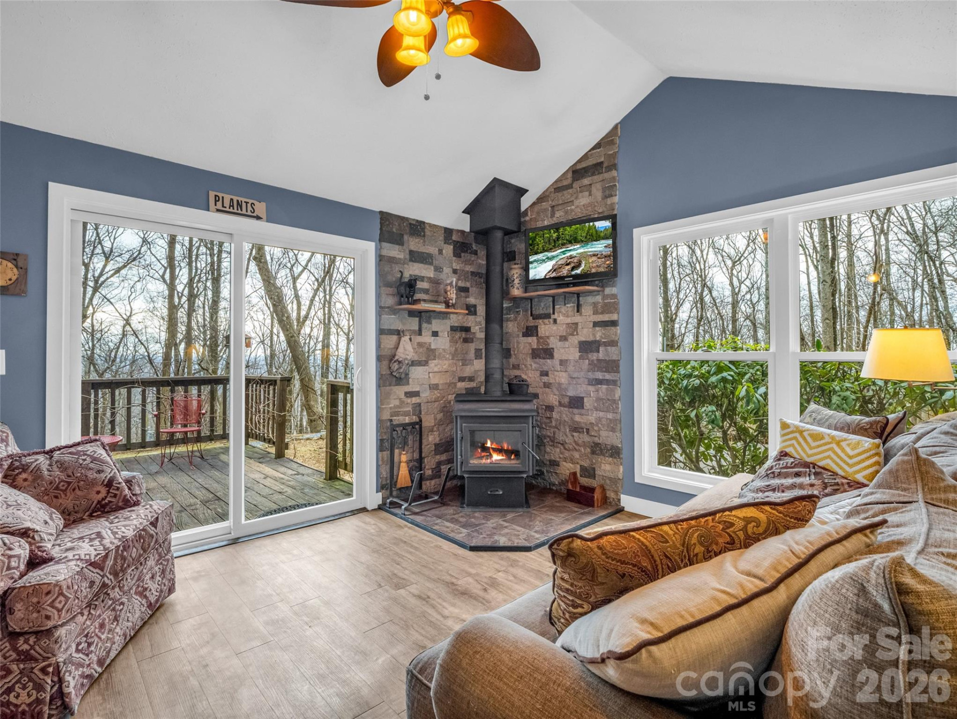 1586 Skyuka Mountain Road - Photo 5