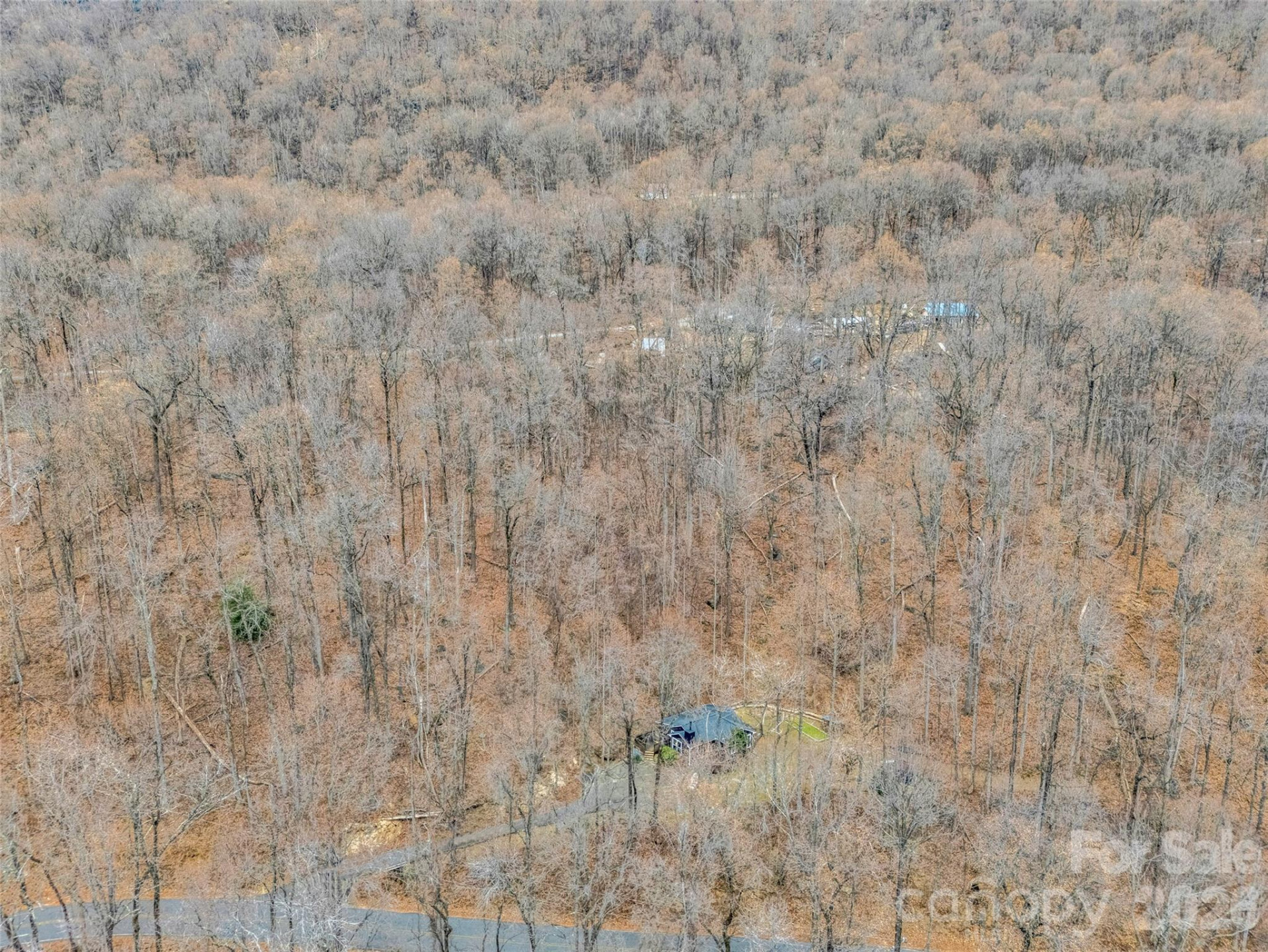 1586 Skyuka Mountain Road - Photo 44