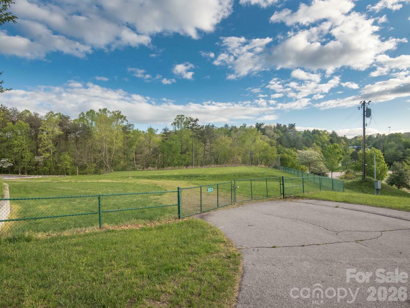 303 Gashes Creek Road - Photo 2