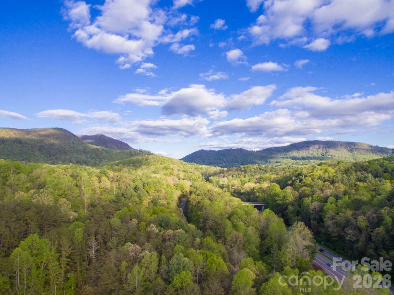303 Gashes Creek Road - Photo 6