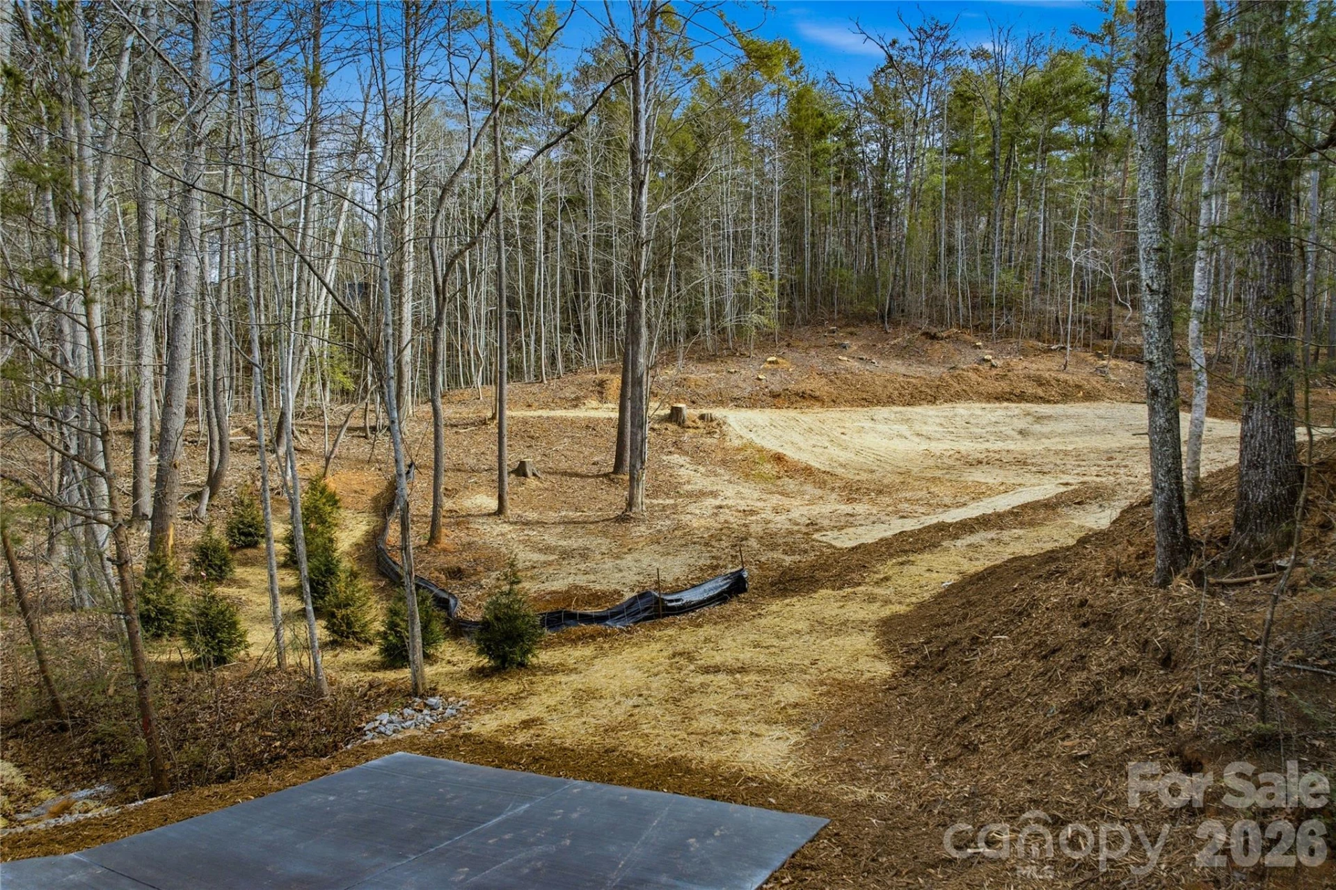 1037 Harborside Drive #Lot 207 - Photo 8