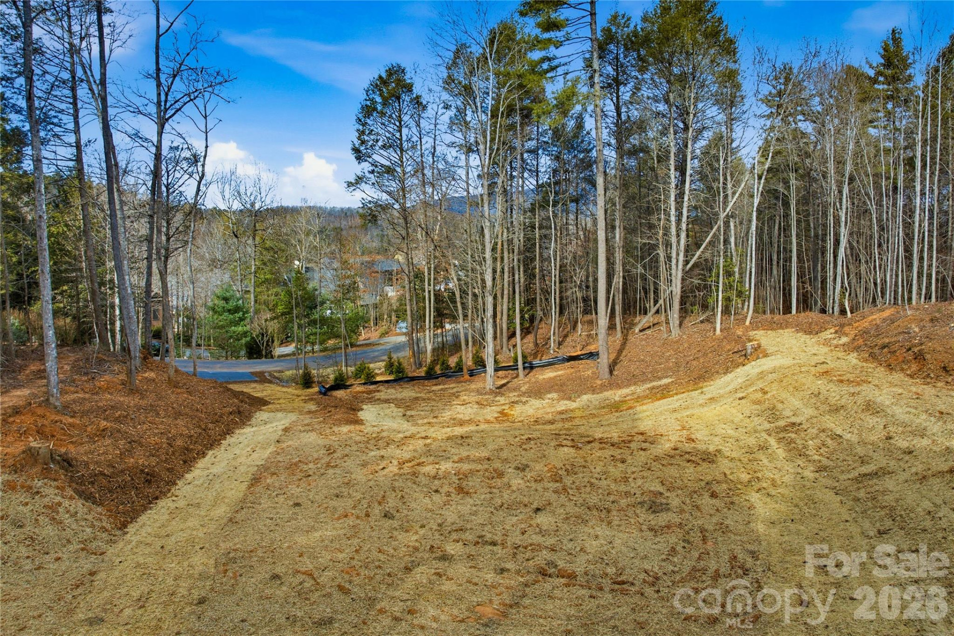 1037 Harborside Drive #Lot 207 - Photo 10