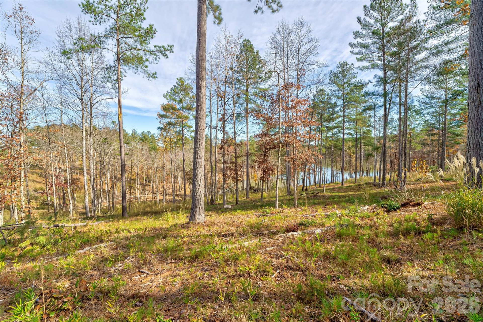 3084 Mount Harvard Court #79 - Photo 4