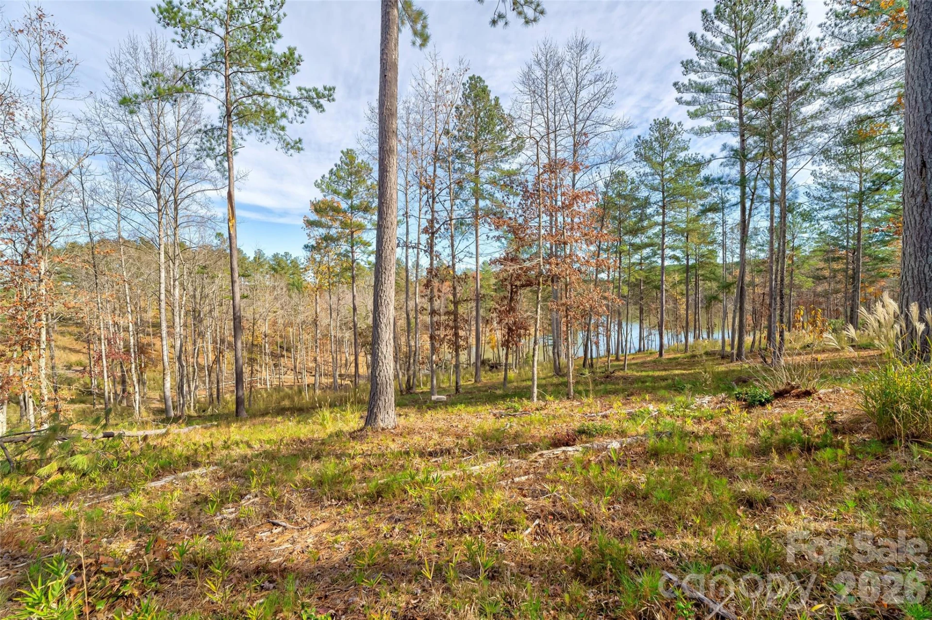3084 Mount Harvard Court #79 - Photo 4
