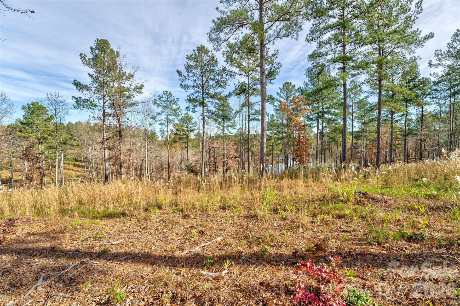 3084 Mount Harvard Court #79 - Photo 5