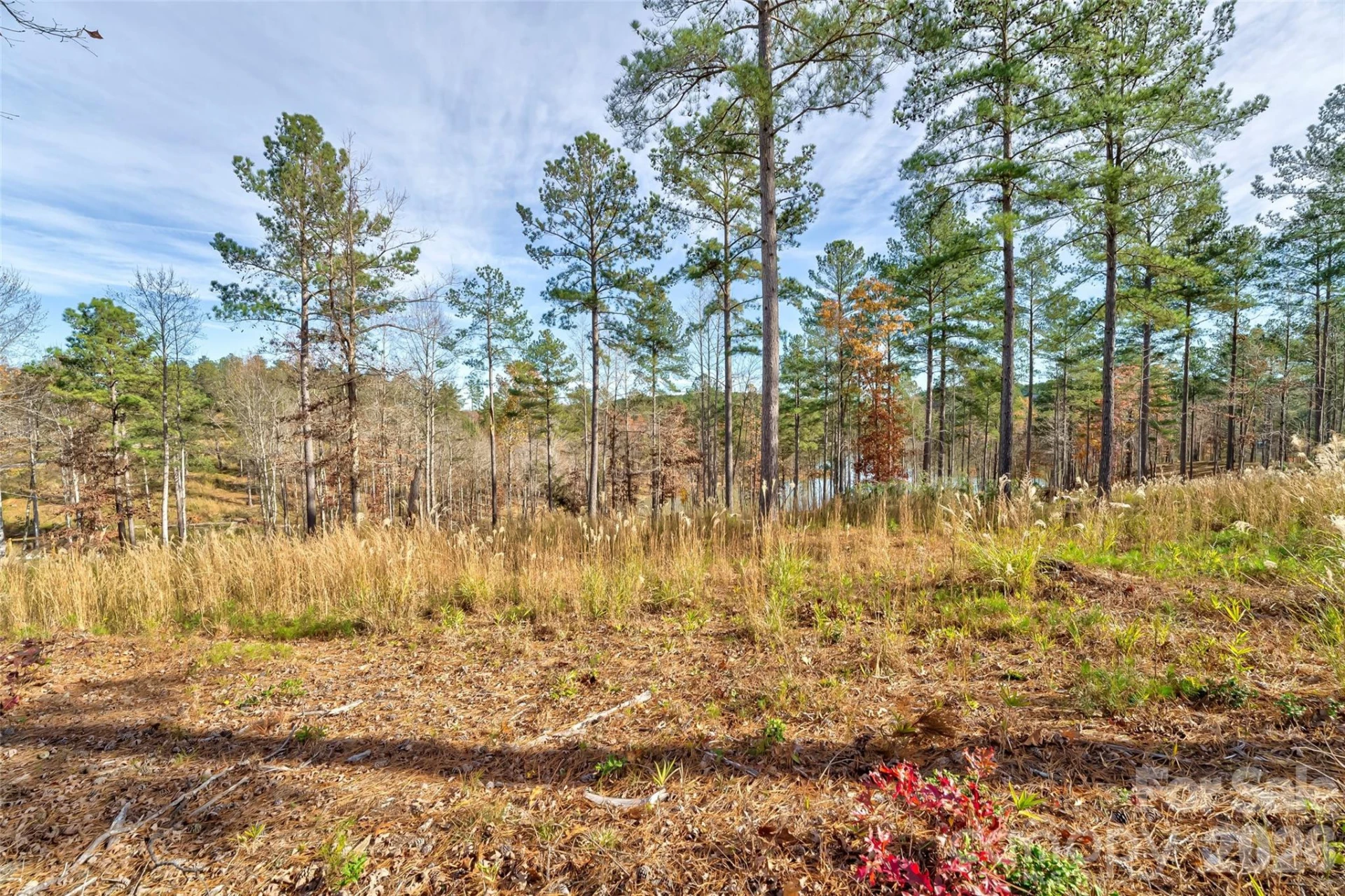 3084 Mount Harvard Court #79 - Photo 5