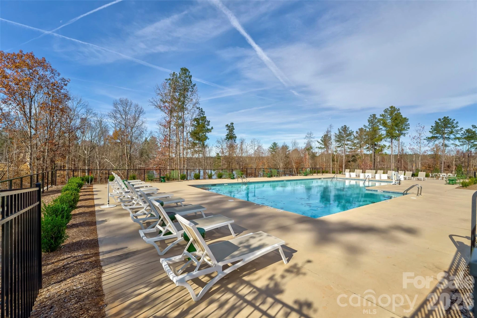 3084 Mount Harvard Court #79 - Photo 10