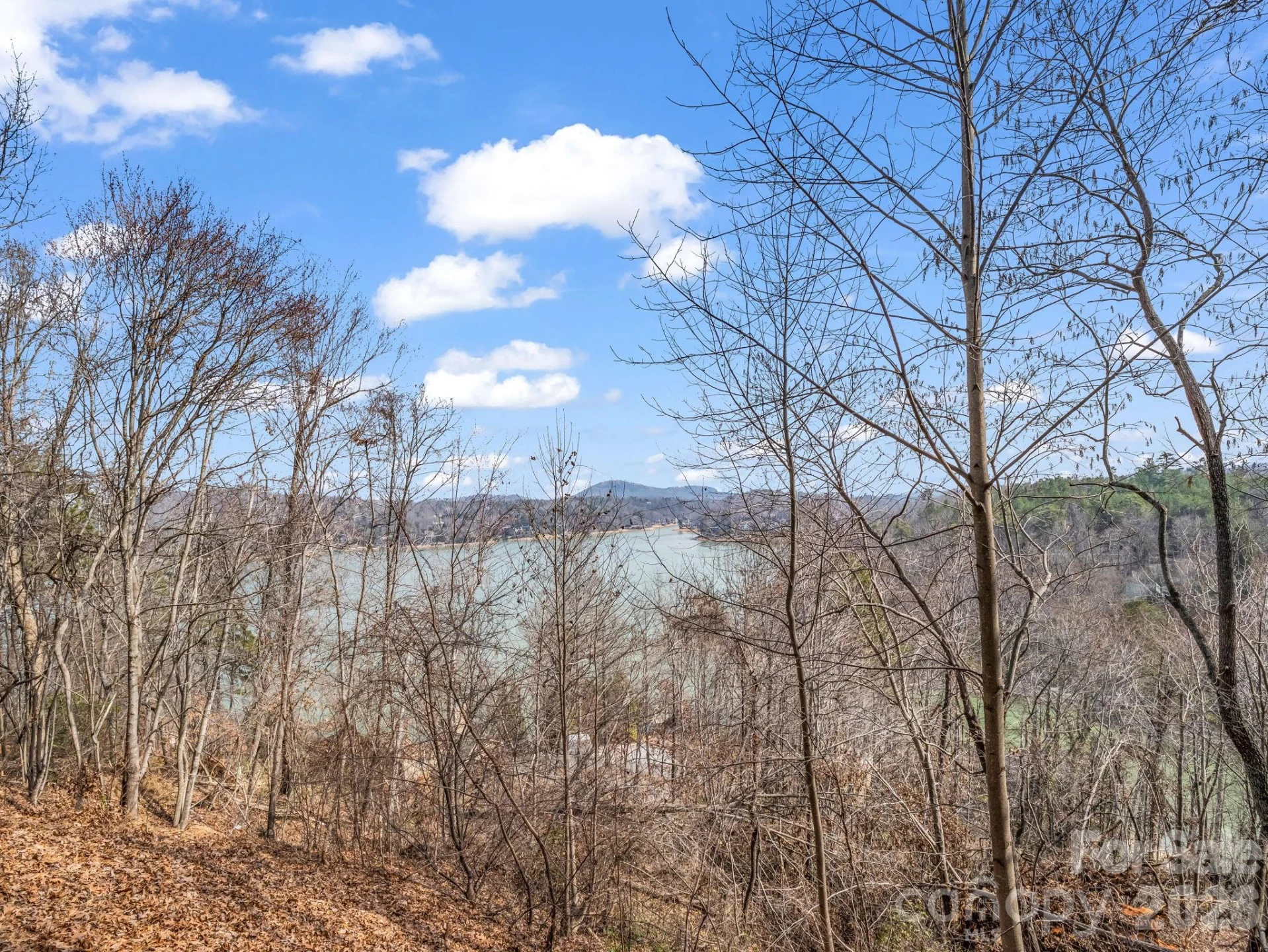 169 Laurel Lane - Photo 31