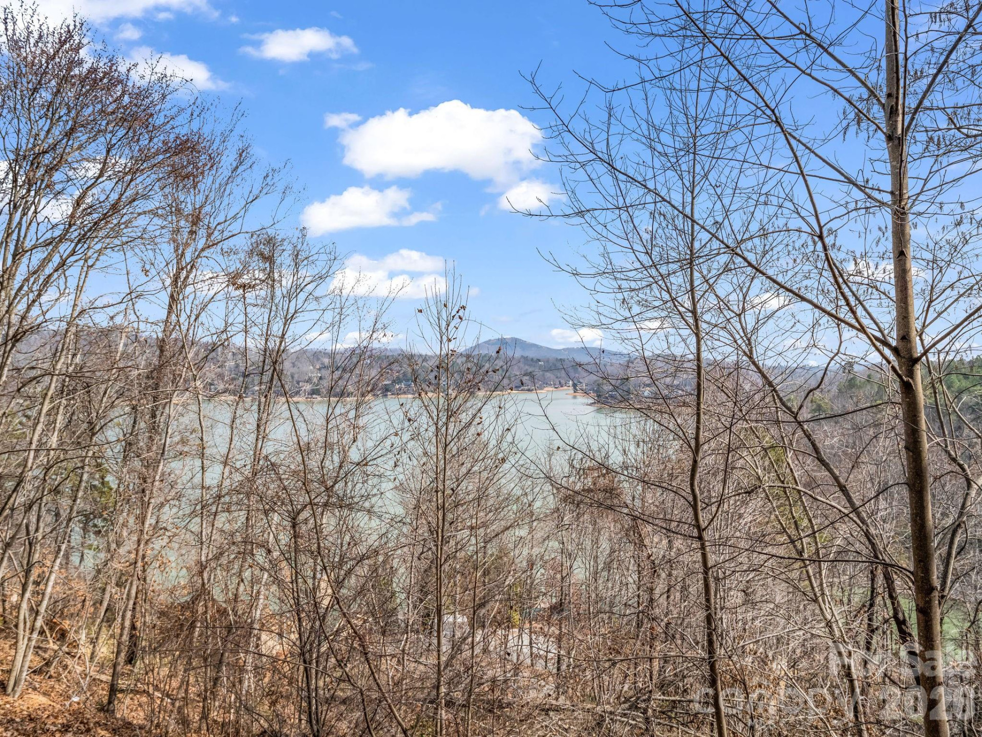 169 Laurel Lane - Photo 32
