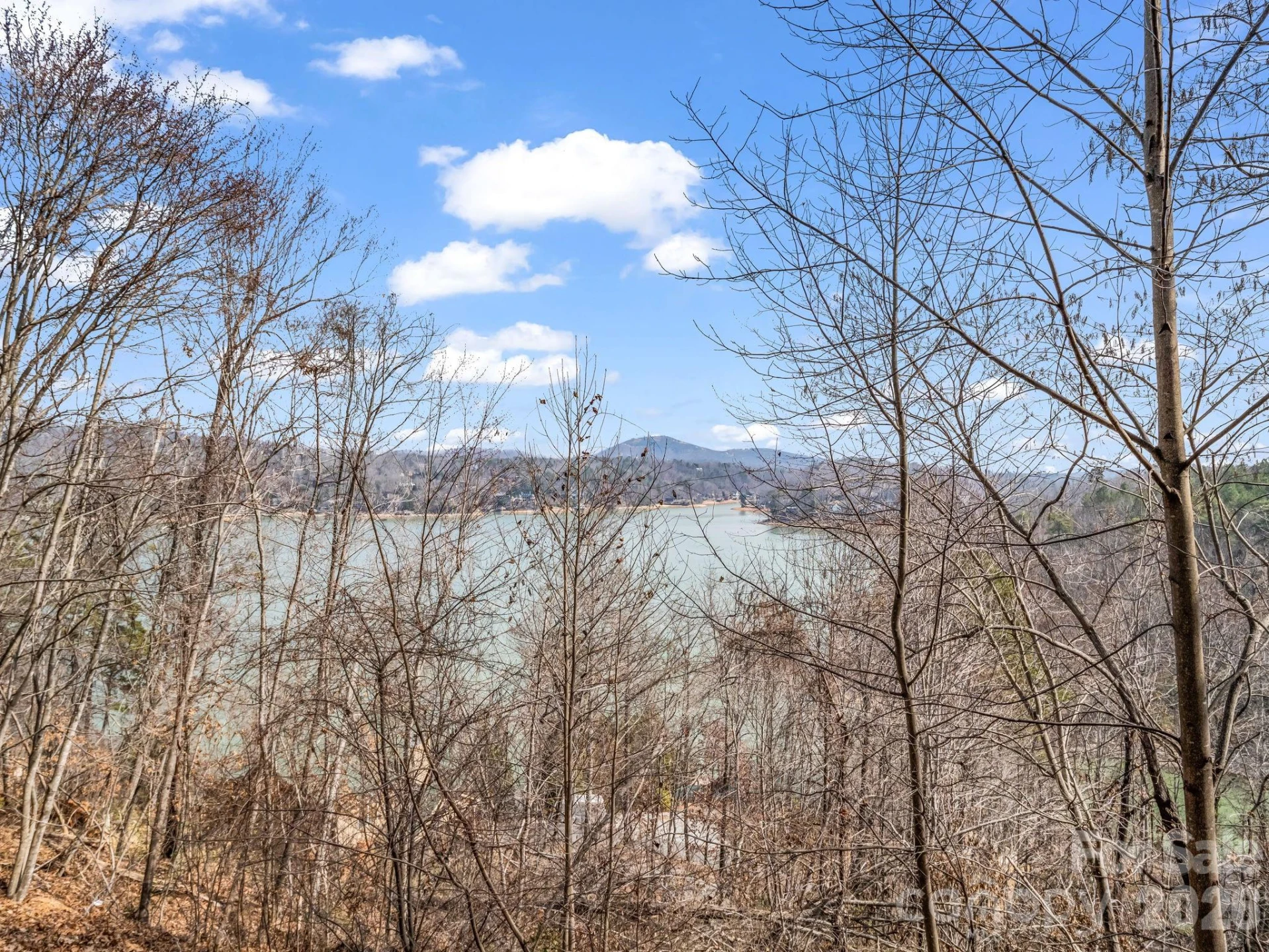 169 Laurel Lane - Photo 32