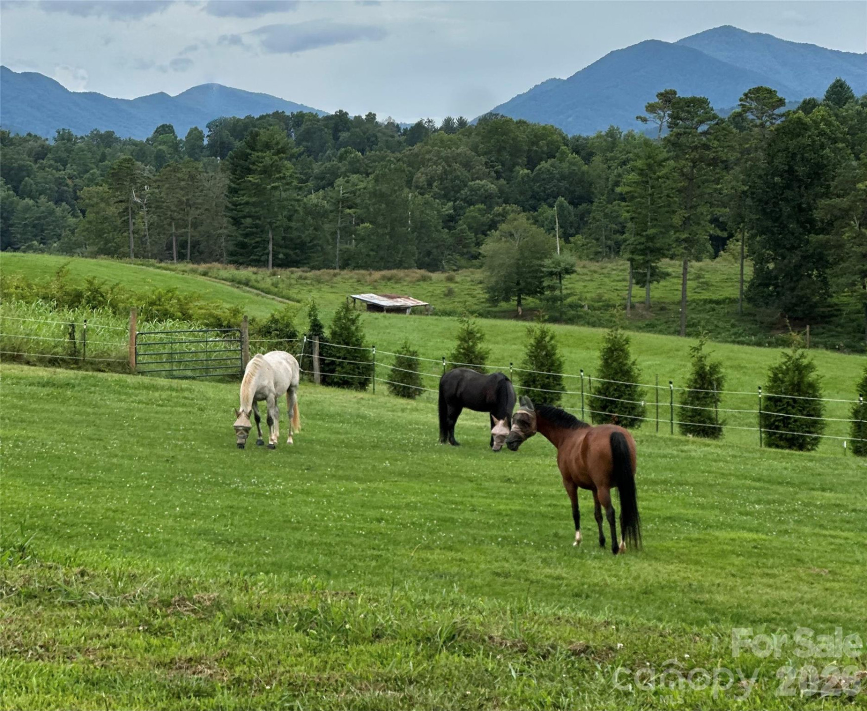 1552 Bear Creek Road - Photo 2