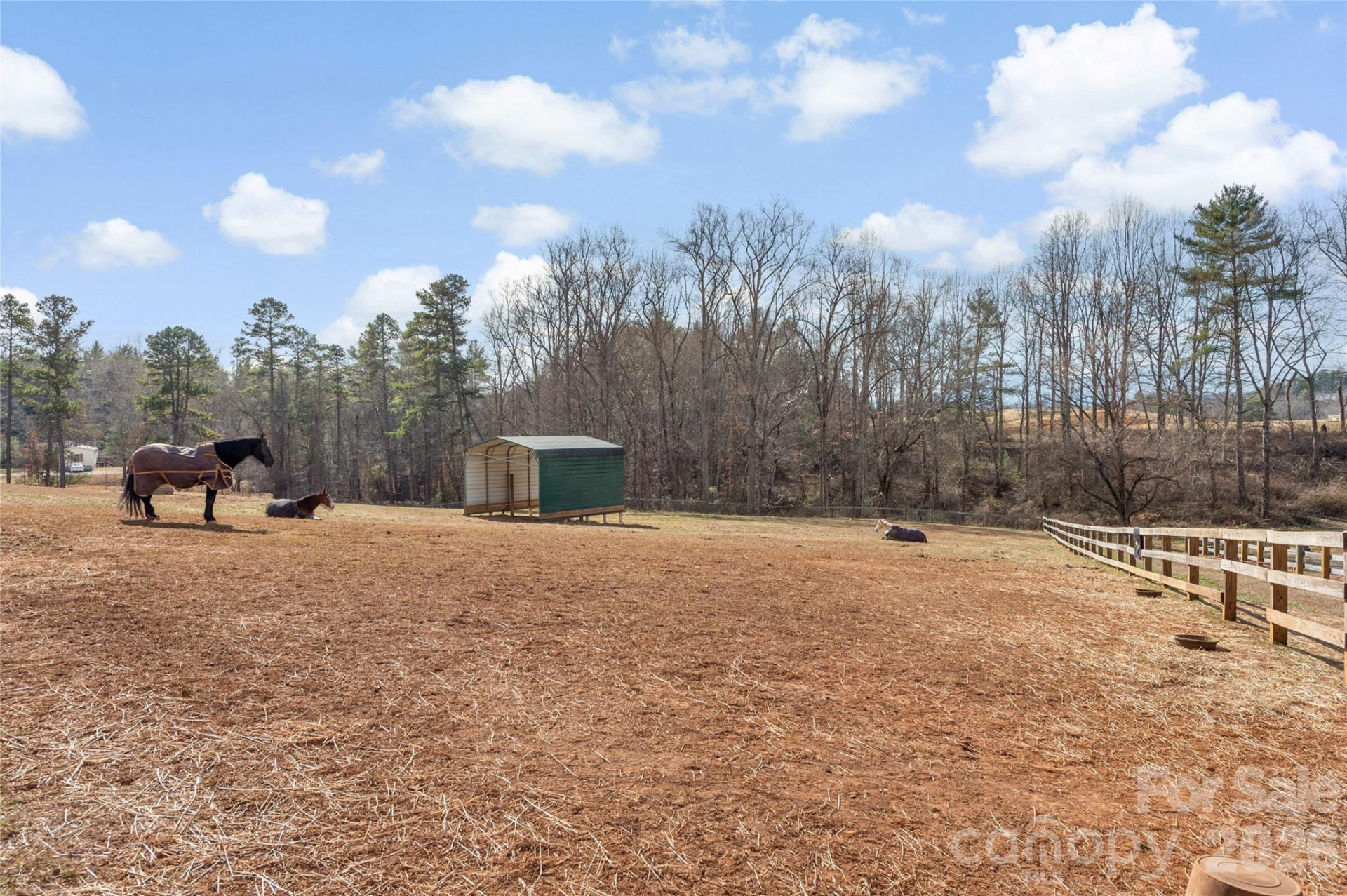 1552 Bear Creek Road - Photo 35
