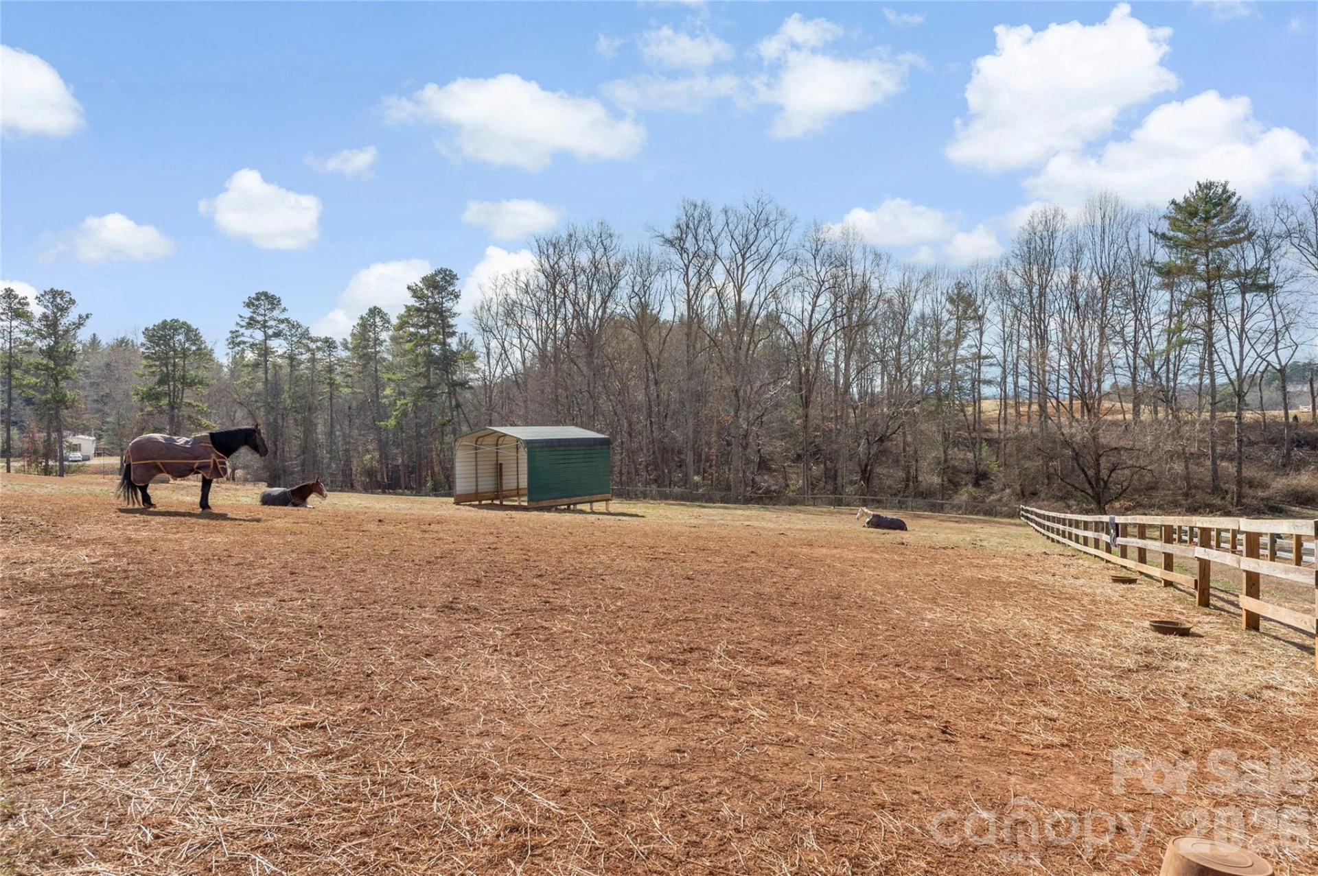 1552 Bear Creek Road - Photo 35