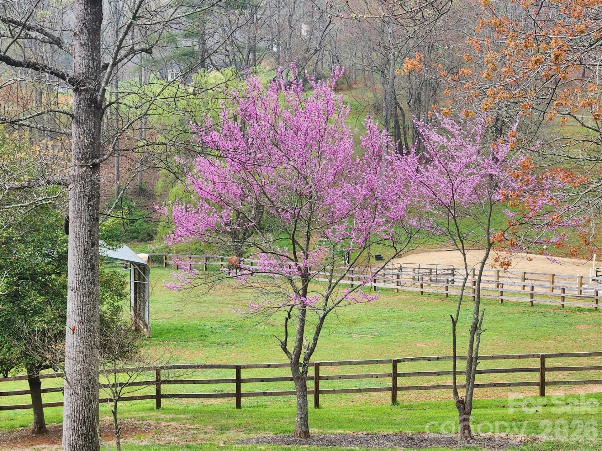 1552 Bear Creek Road - Photo 42