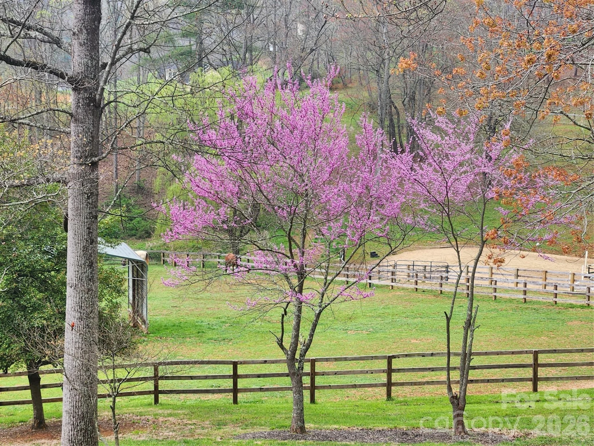 1552 Bear Creek Road - Photo 42