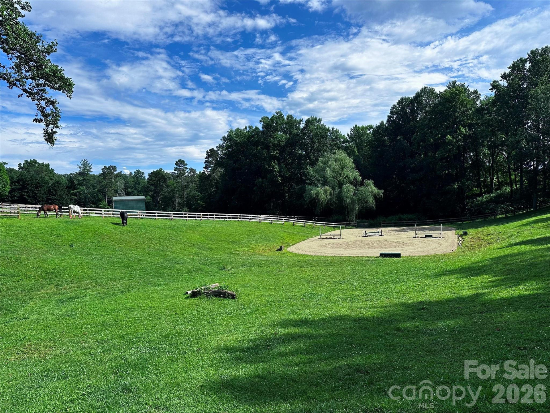 1552 Bear Creek Road - Photo 46