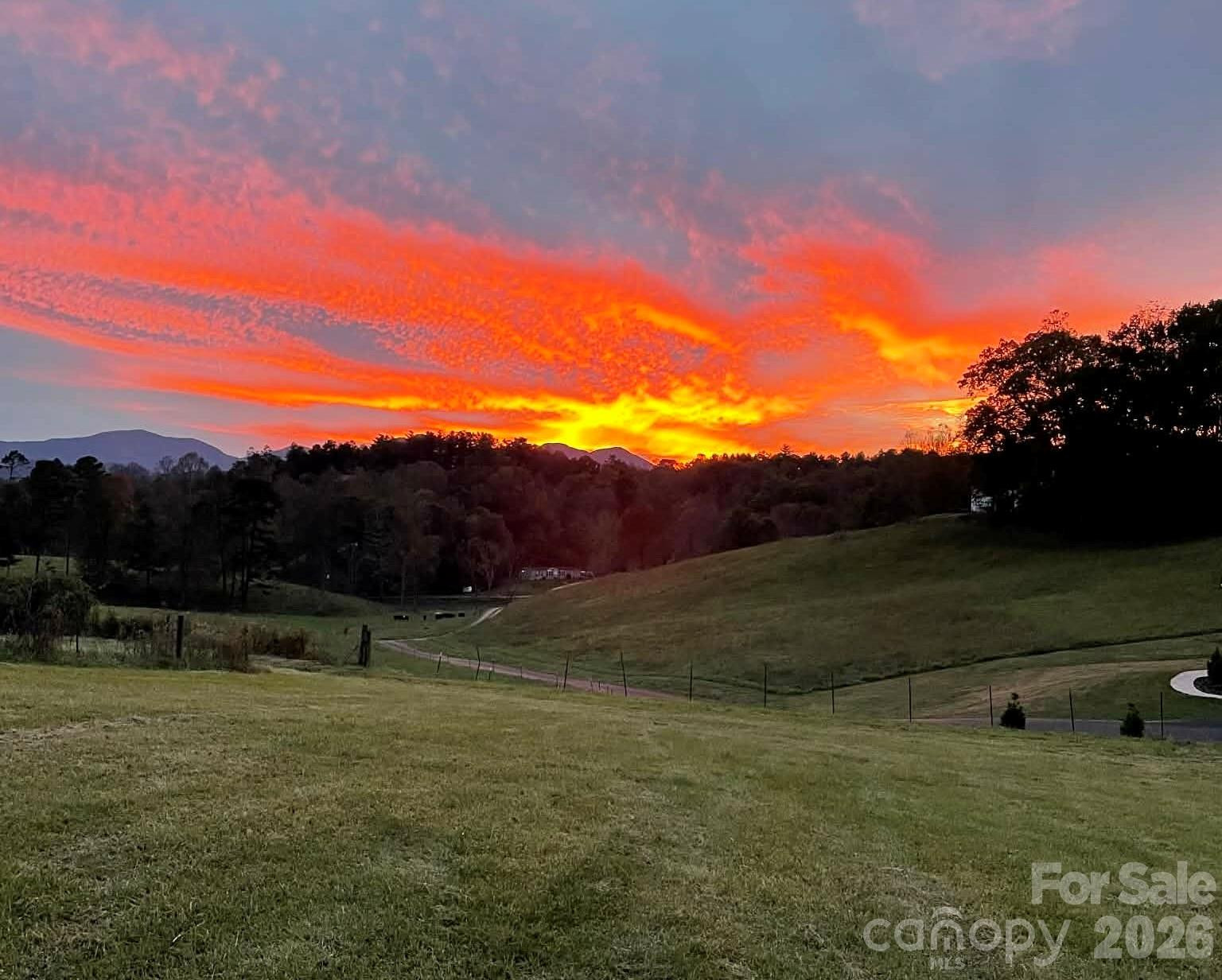 1552 Bear Creek Road - Photo 48