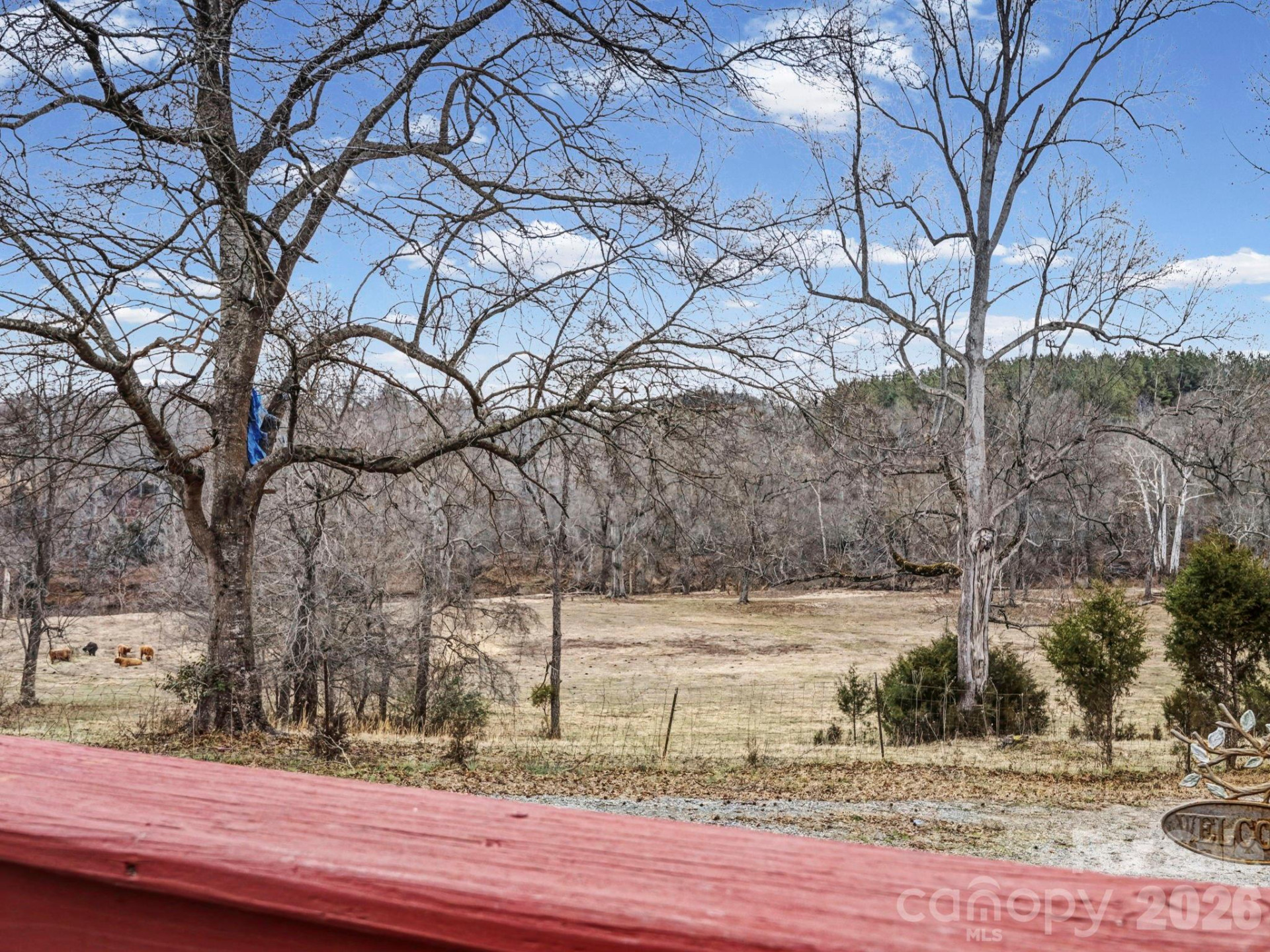 347 Hines Road - Photo 38