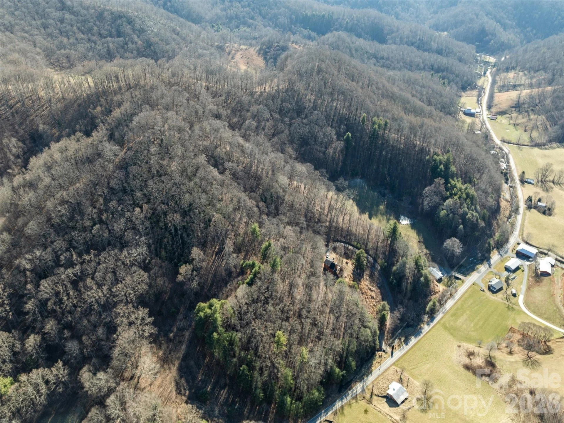 4080 East Fork Road - Photo 22