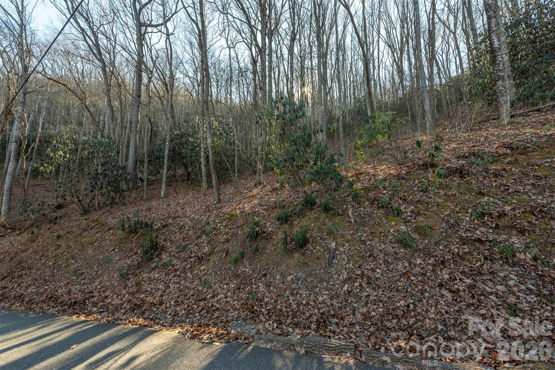 00 Wildflower Cove Road #18 - Photo 21
