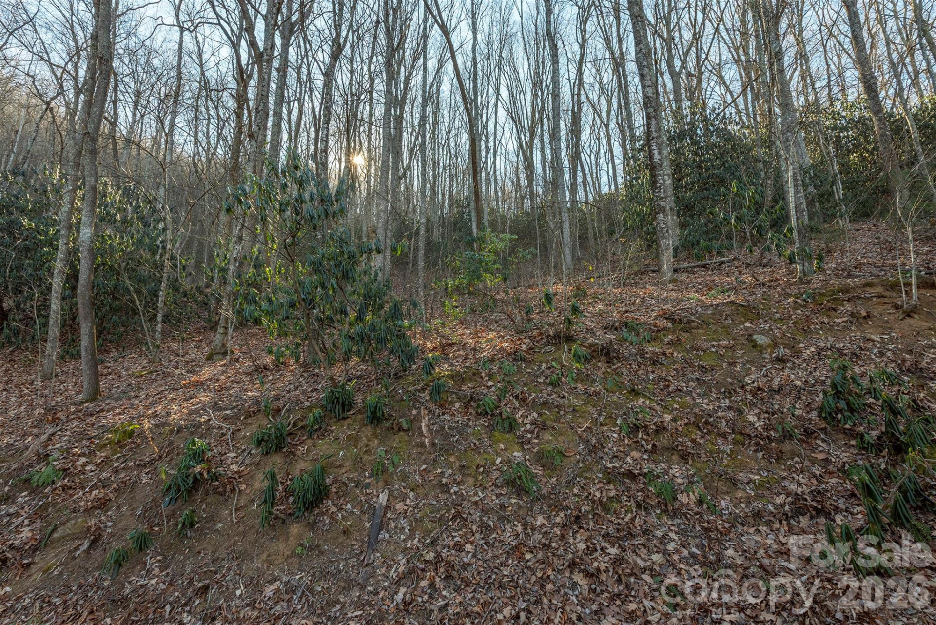 00 Wildflower Cove Road #18 - Photo 22