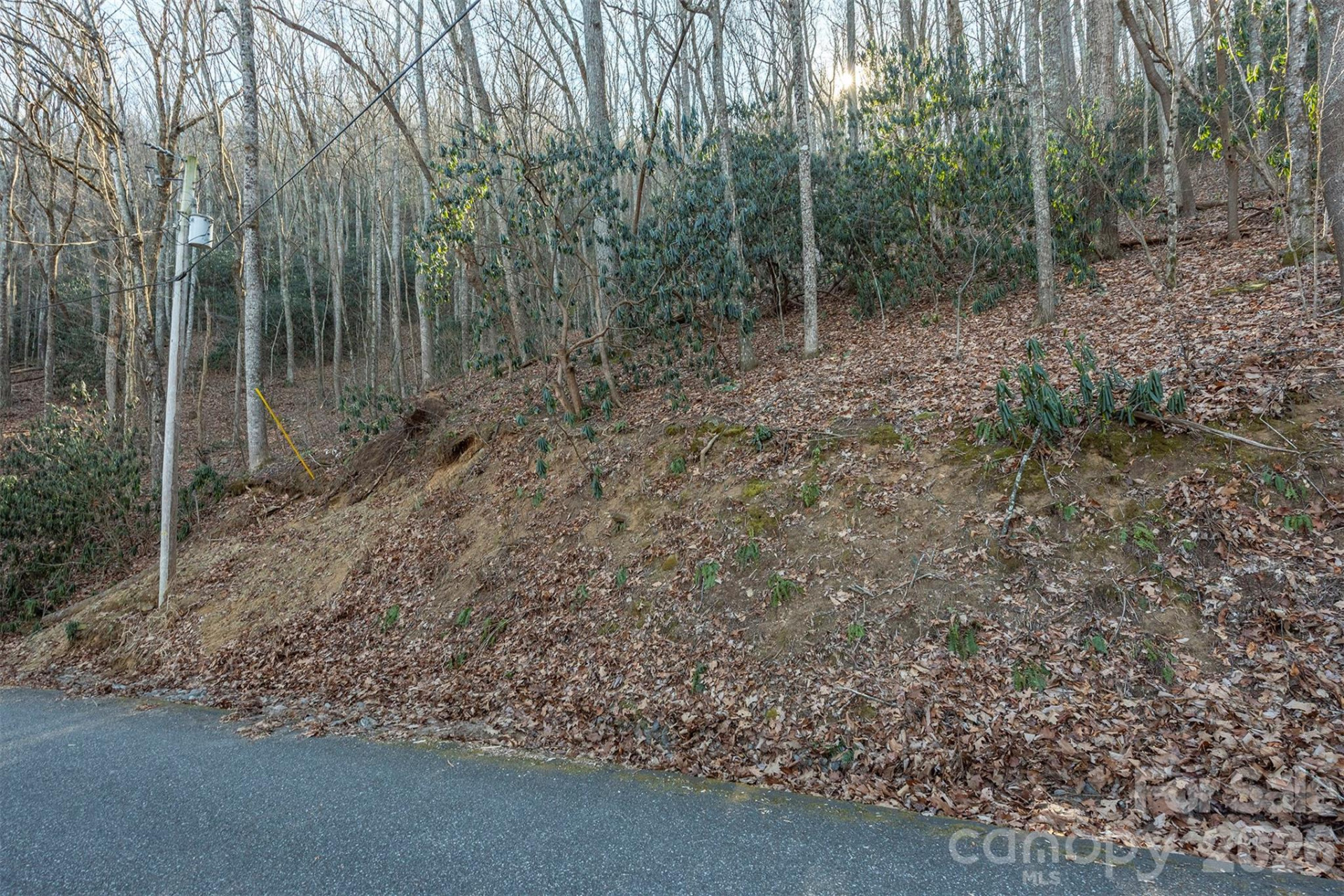 00 Wildflower Cove Road #18 - Photo 24