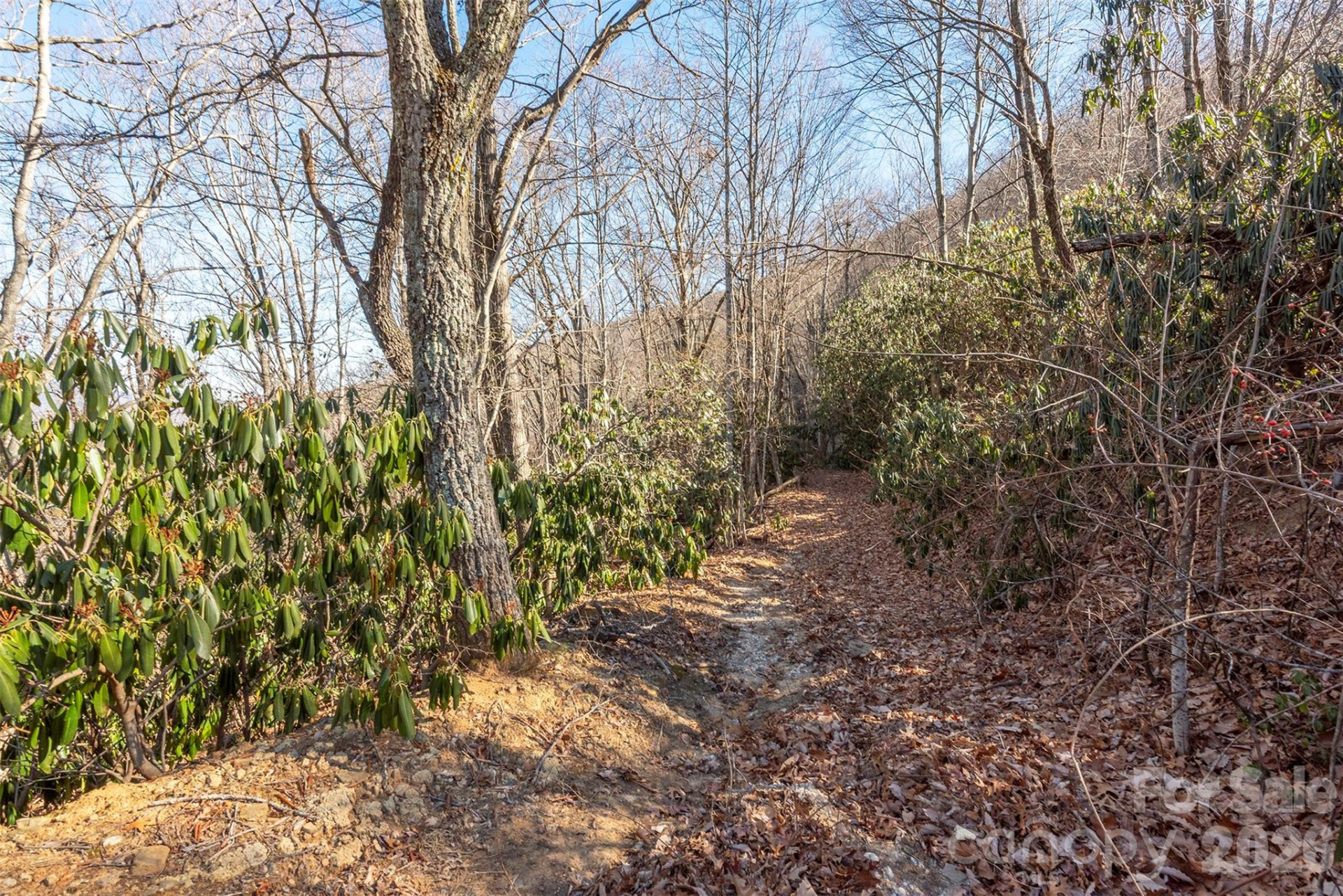 00 Wildflower Cove Road #18 - Photo 28