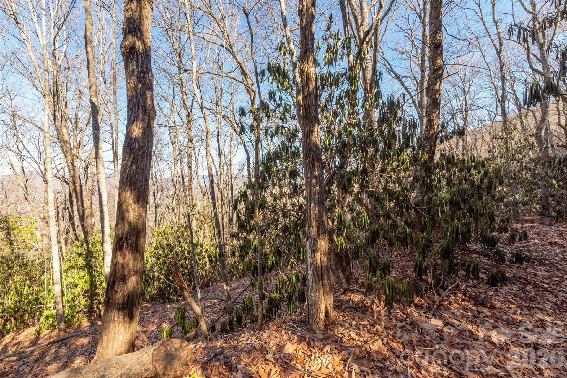 00 Wildflower Cove Road #18 - Photo 29