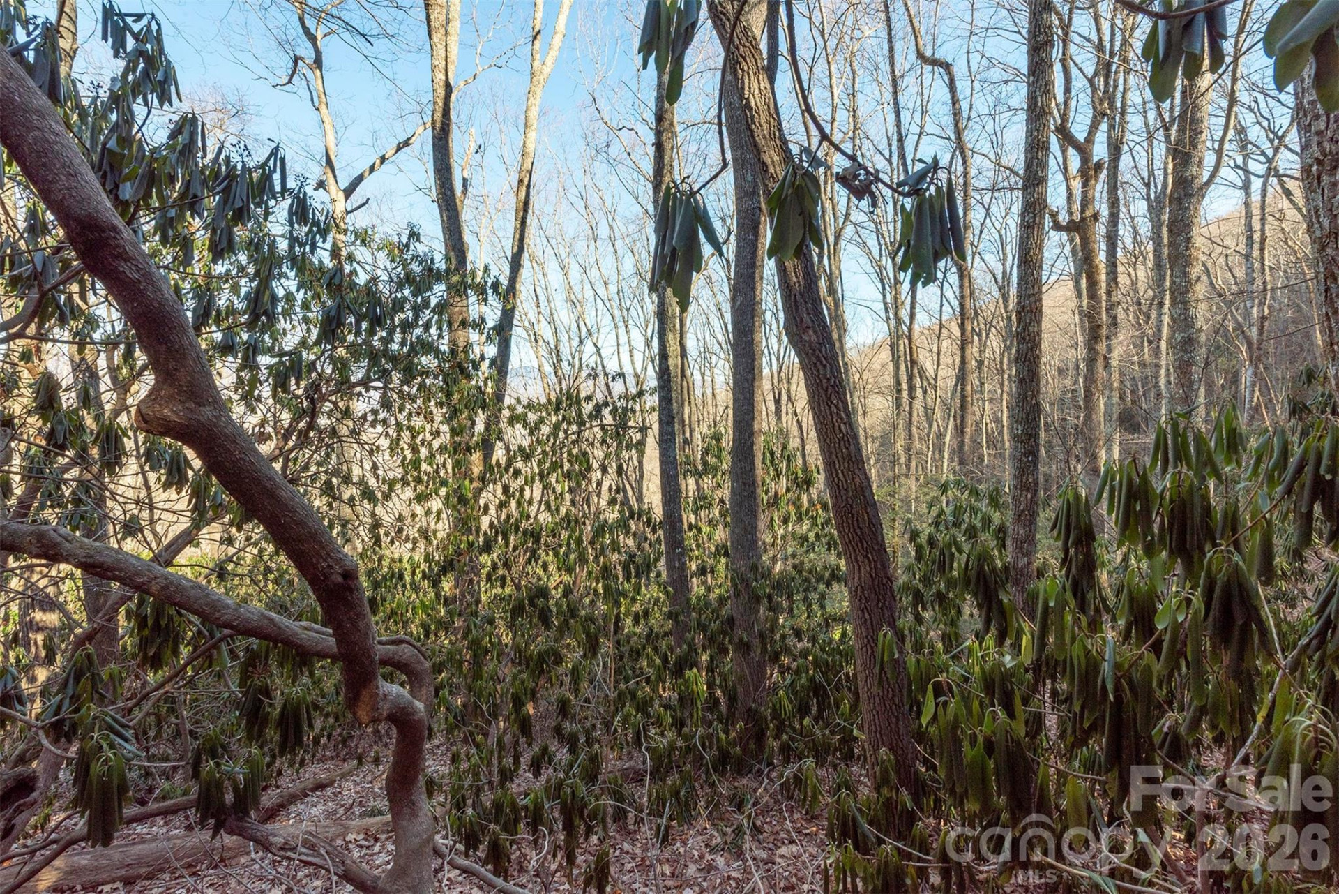 00 Wildflower Cove Road #18 - Photo 30