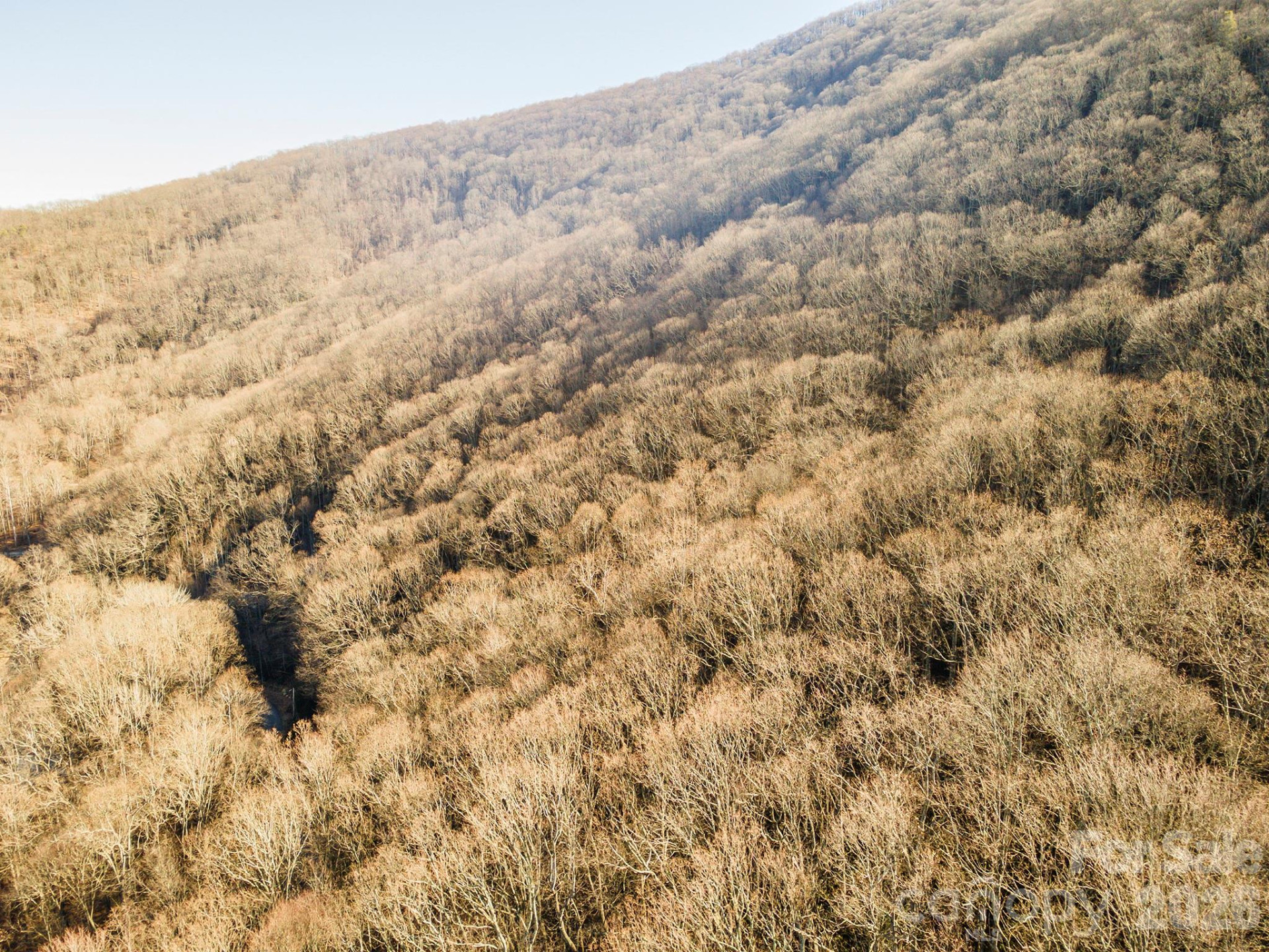 00 Wildflower Cove Road #18 - Photo 4