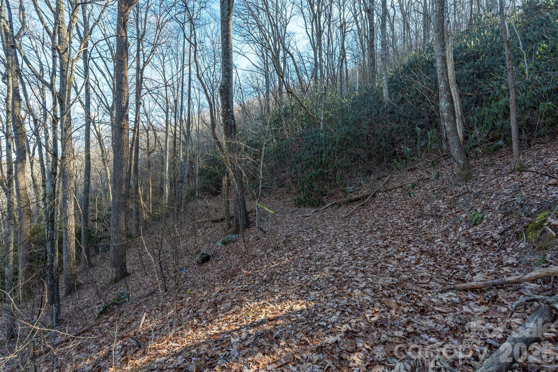 00 Wildflower Cove Road #18 - Photo 31